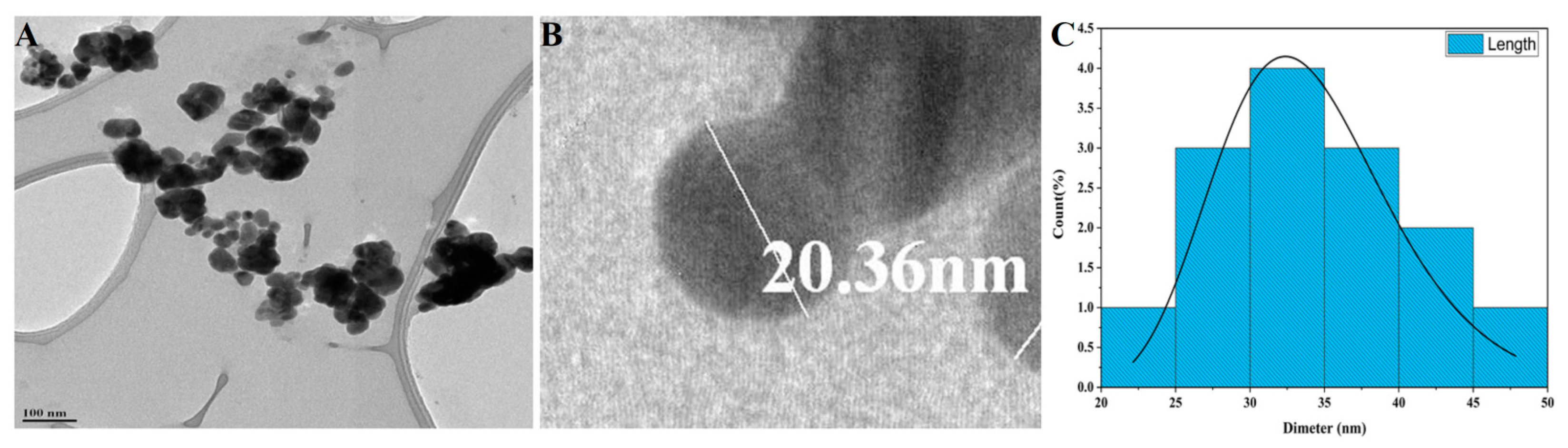 Nanomaterials 12 00493 g006 Nanomaterials 12 00493 g006