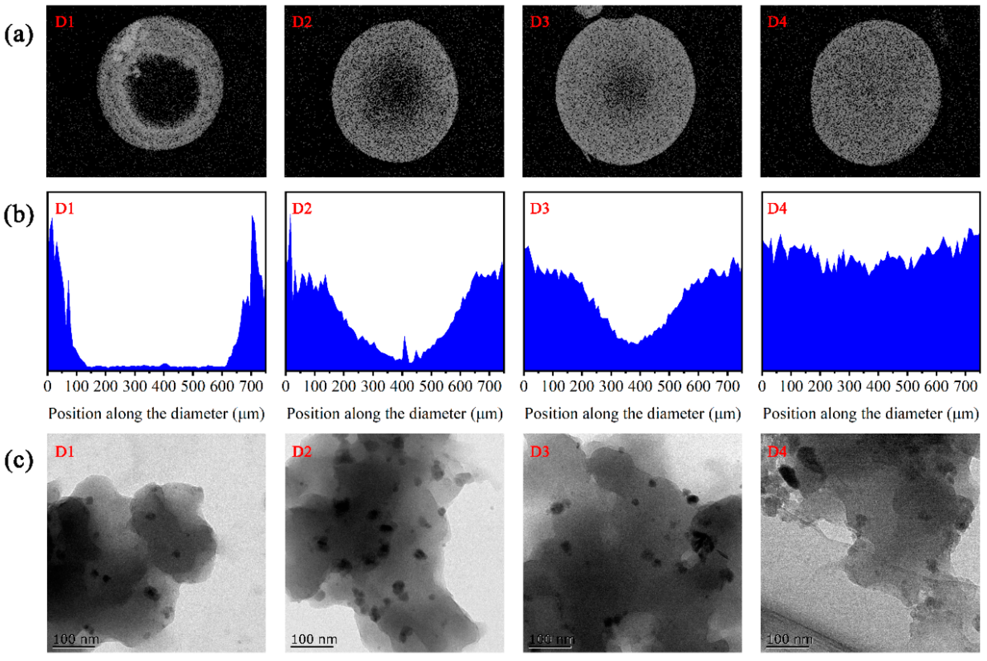 Nanomaterials 12 00494 g001