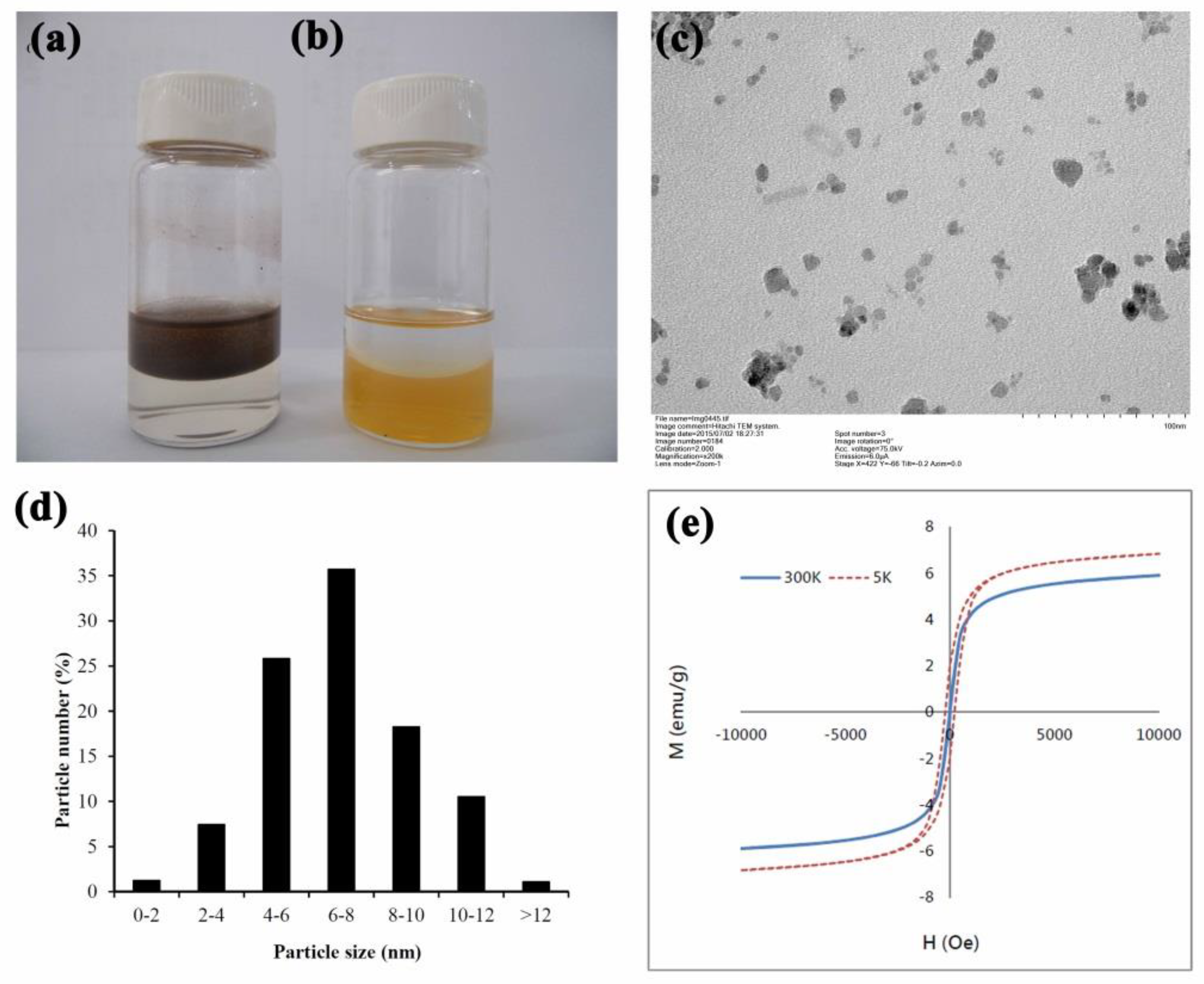 Nanomaterials 12 00496 g001