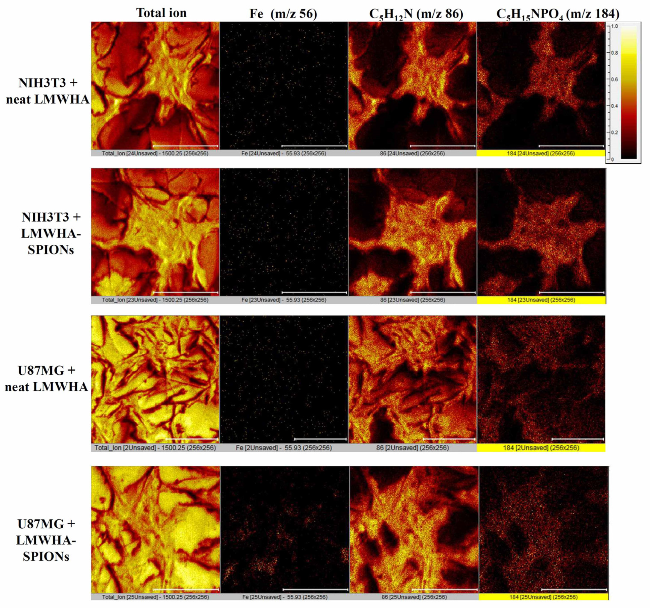 Nanomaterials 12 00496 g003