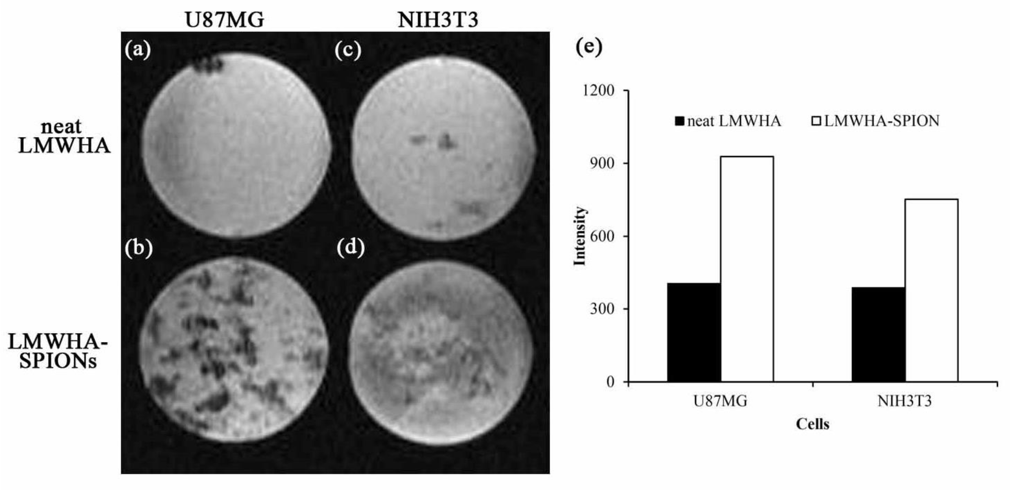 Nanomaterials 12 00496 g005