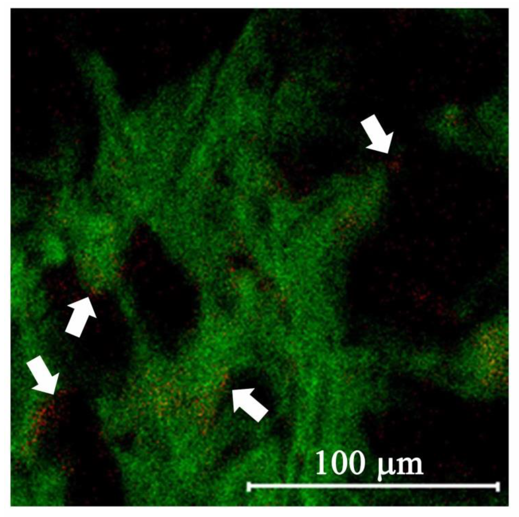 Nanomaterials 12 00496 g007
