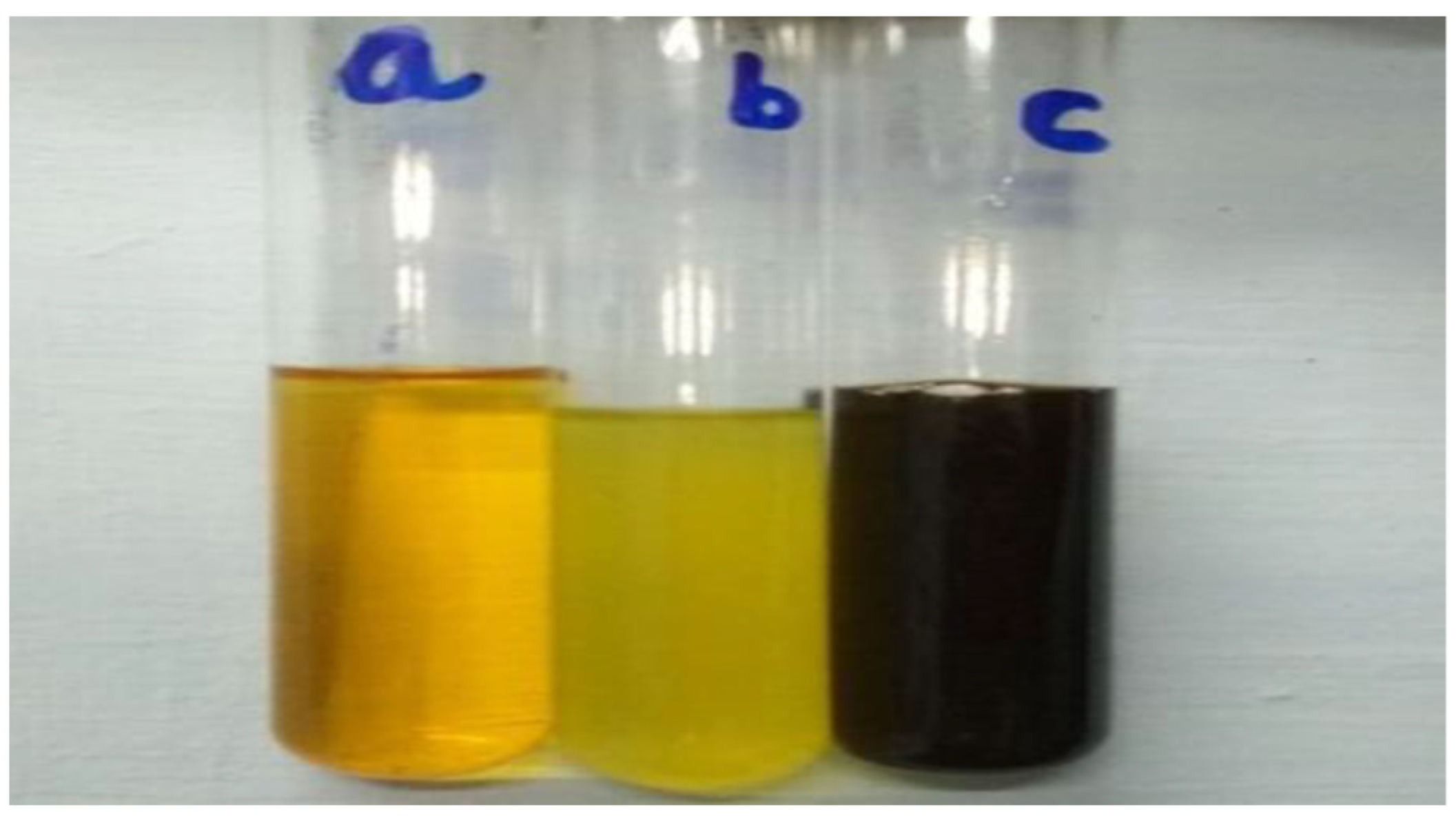 Nanomaterials 12 00497 g002