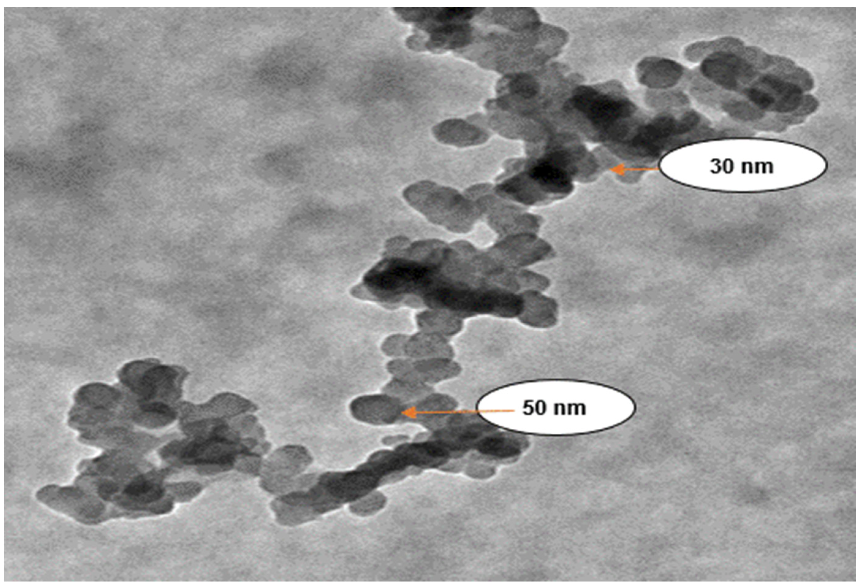 Nanomaterials 12 00497 g006