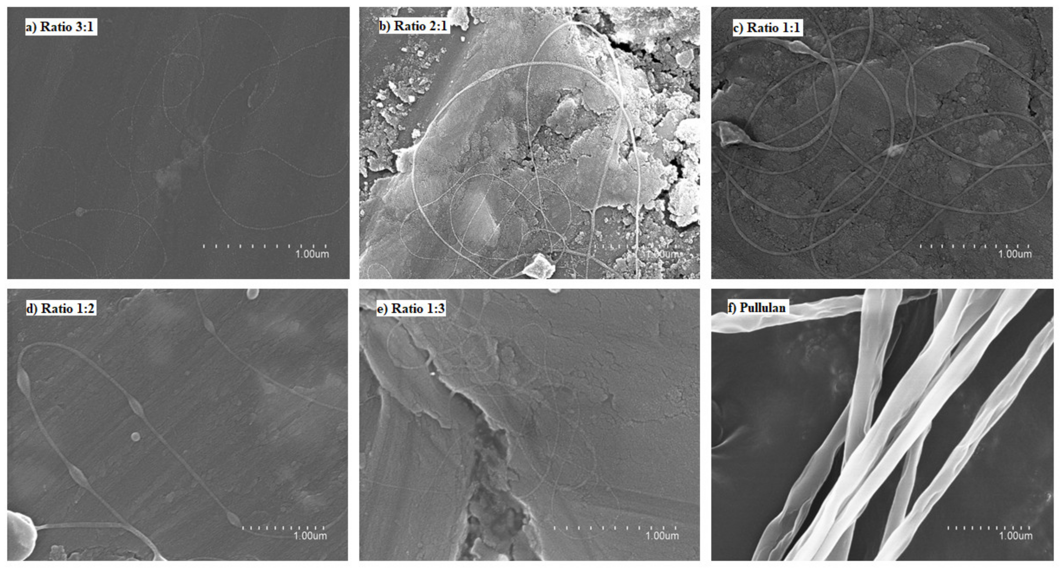 Nanomaterials 12 00498 g002
