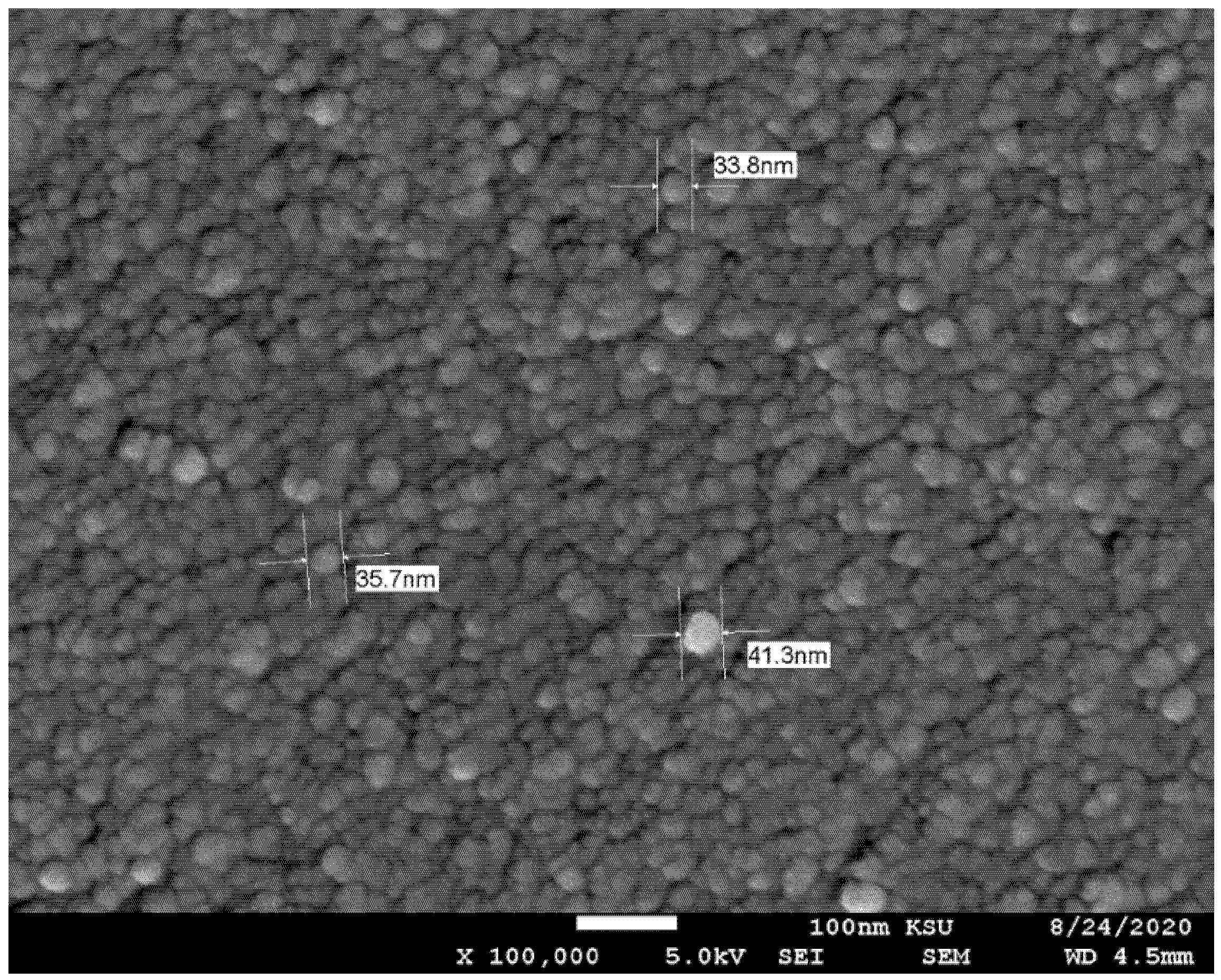 Nanomaterials 12 00500 g001
