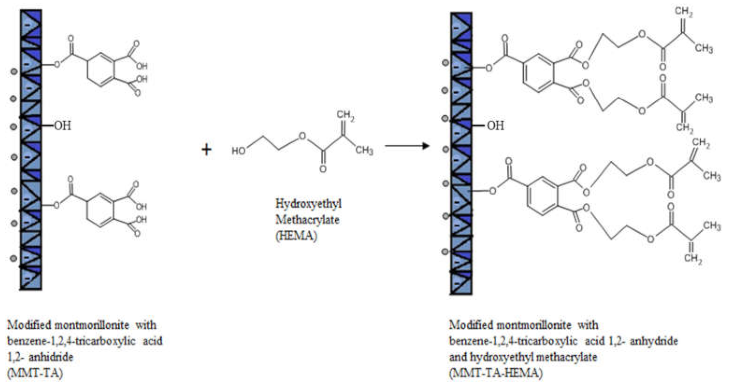 Nanomaterials 12 00503 g003 Nanomaterials 12 00503 g003