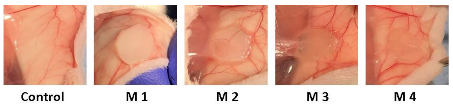 Nanomaterials 12 00503 g011 Nanomaterials 12 00503 g011