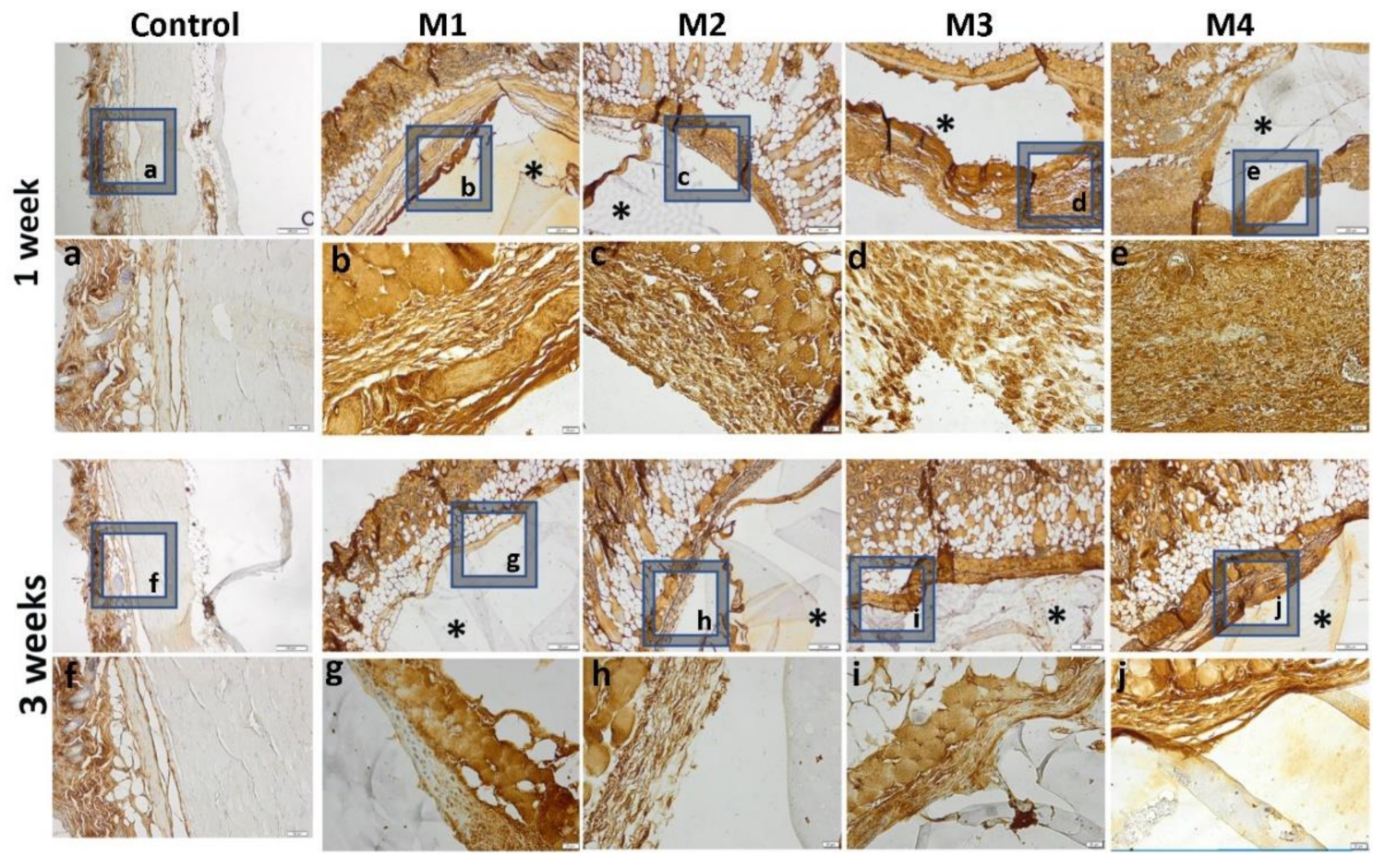 Nanomaterials 12 00503 g015 Nanomaterials 12 00503 g015