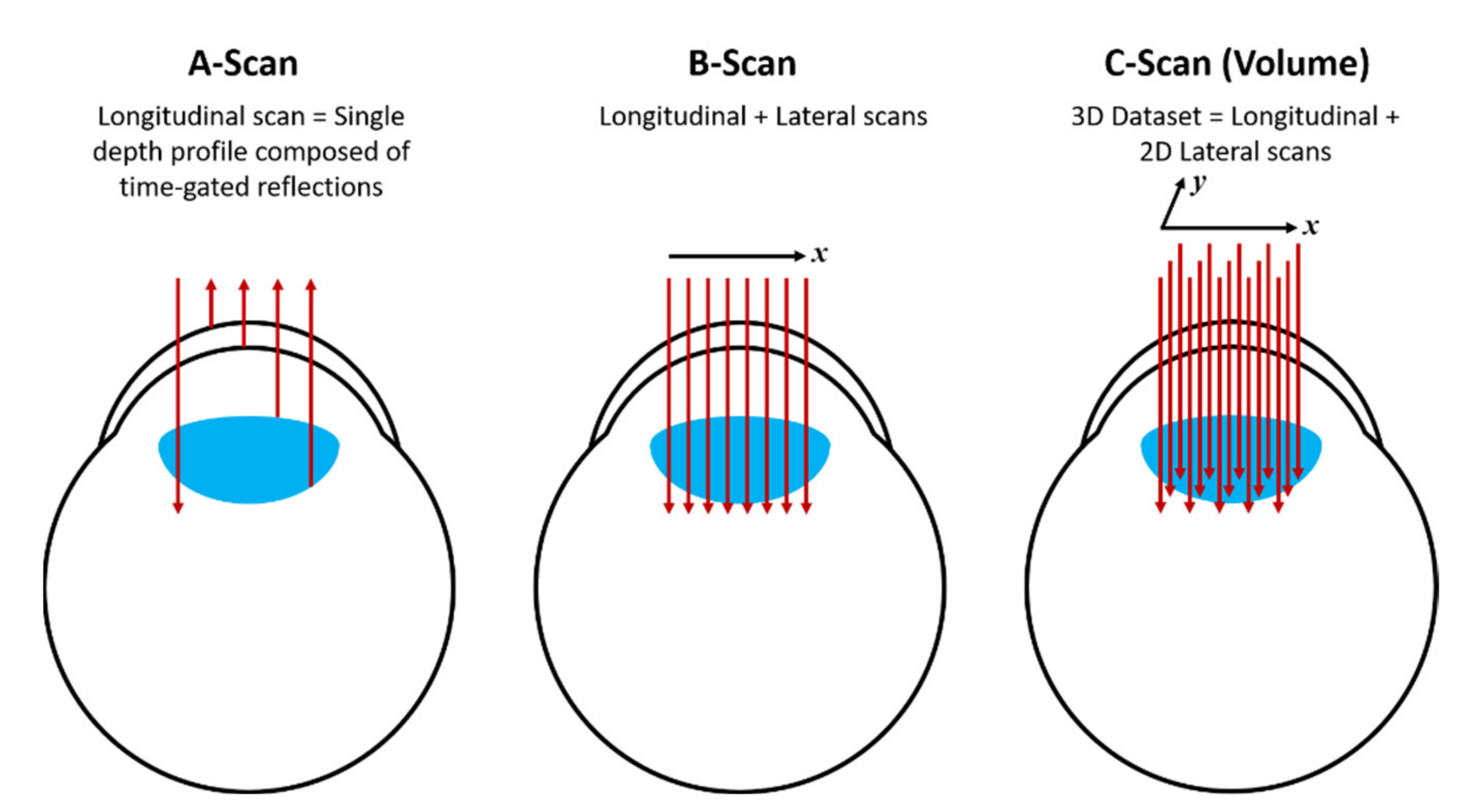 Nanomaterials 12 00506 g005 550