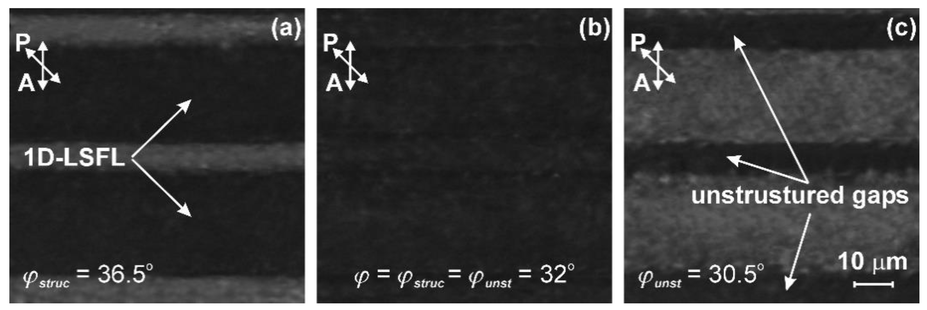 Nanomaterials 12 00508 g004