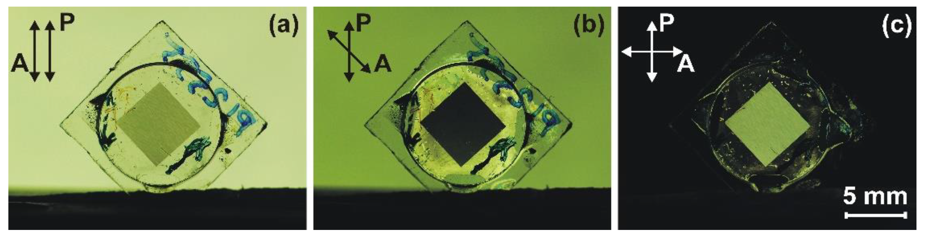 Nanomaterials 12 00508 g007
