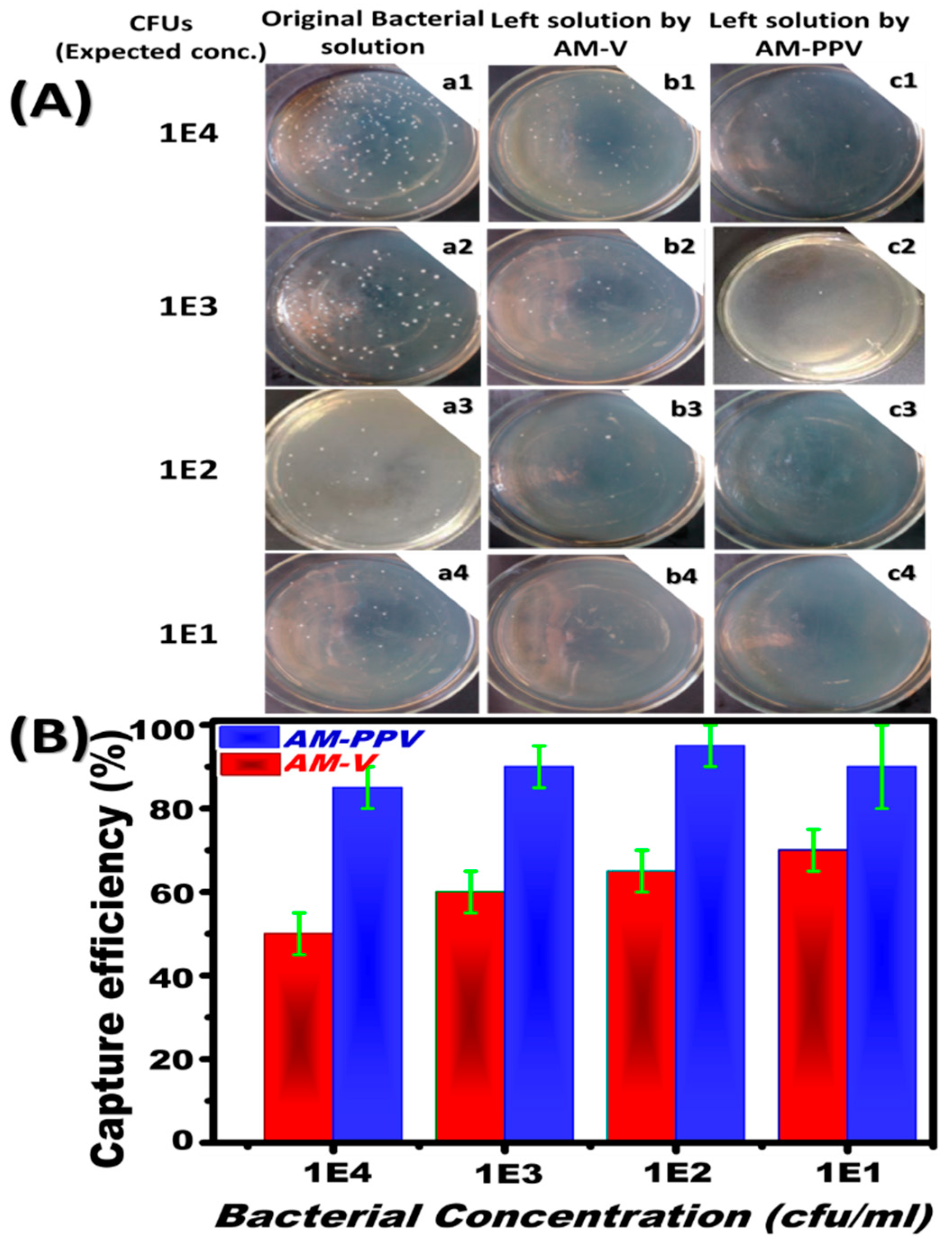 Nanomaterials 12 00510 g005 550
