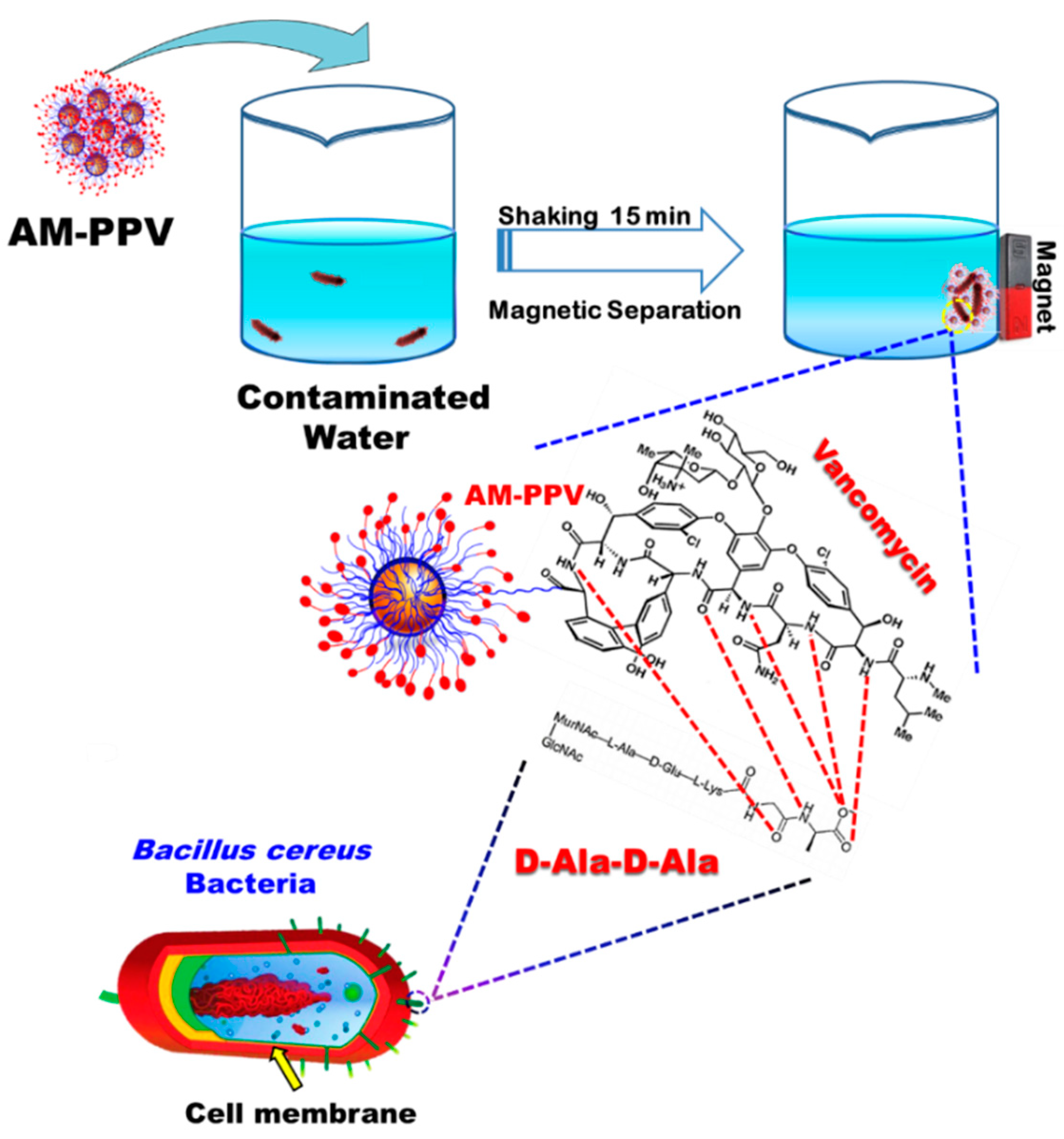 Nanomaterials 12 00510 sch001 550