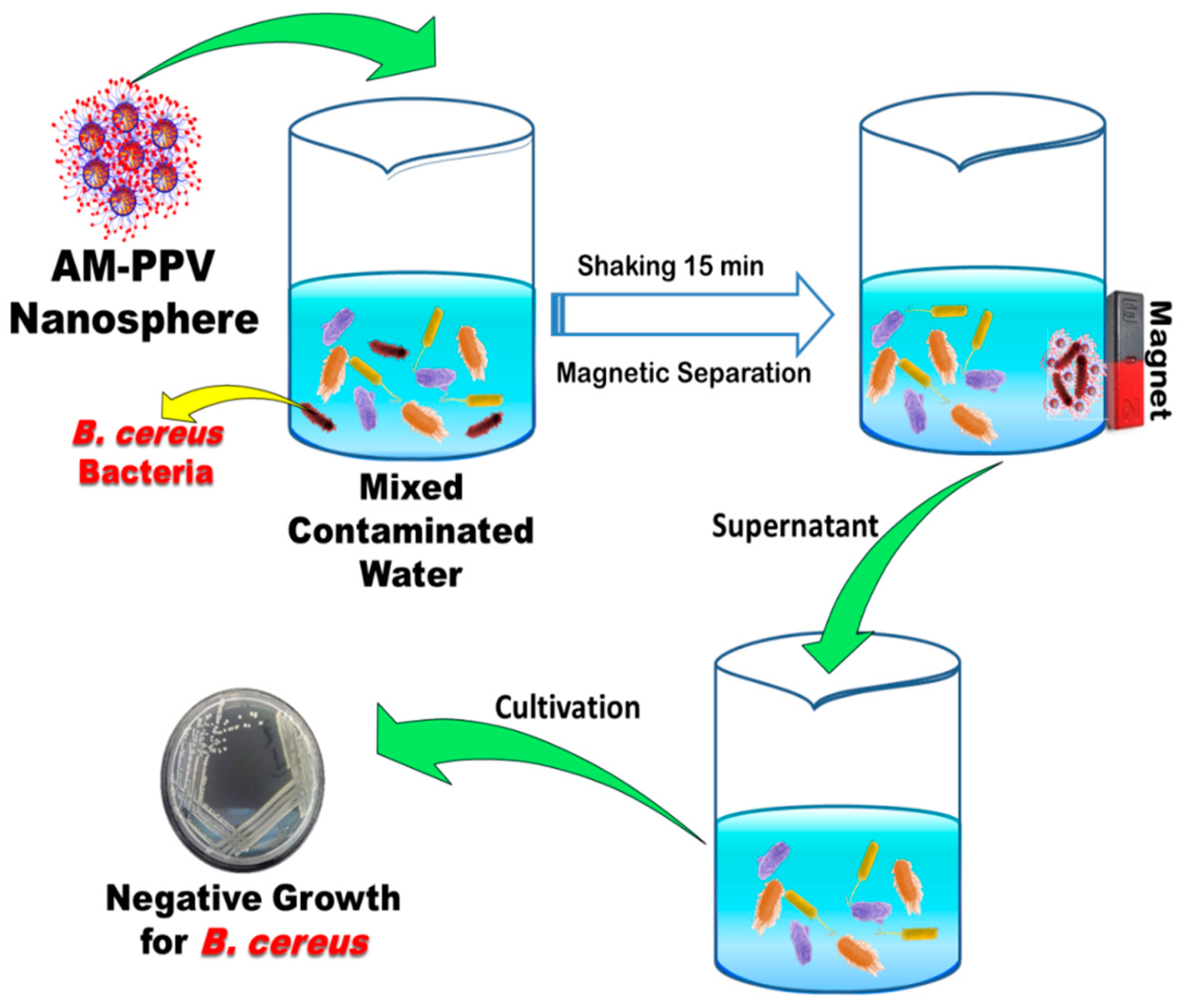Nanomaterials 12 00510 sch003 550