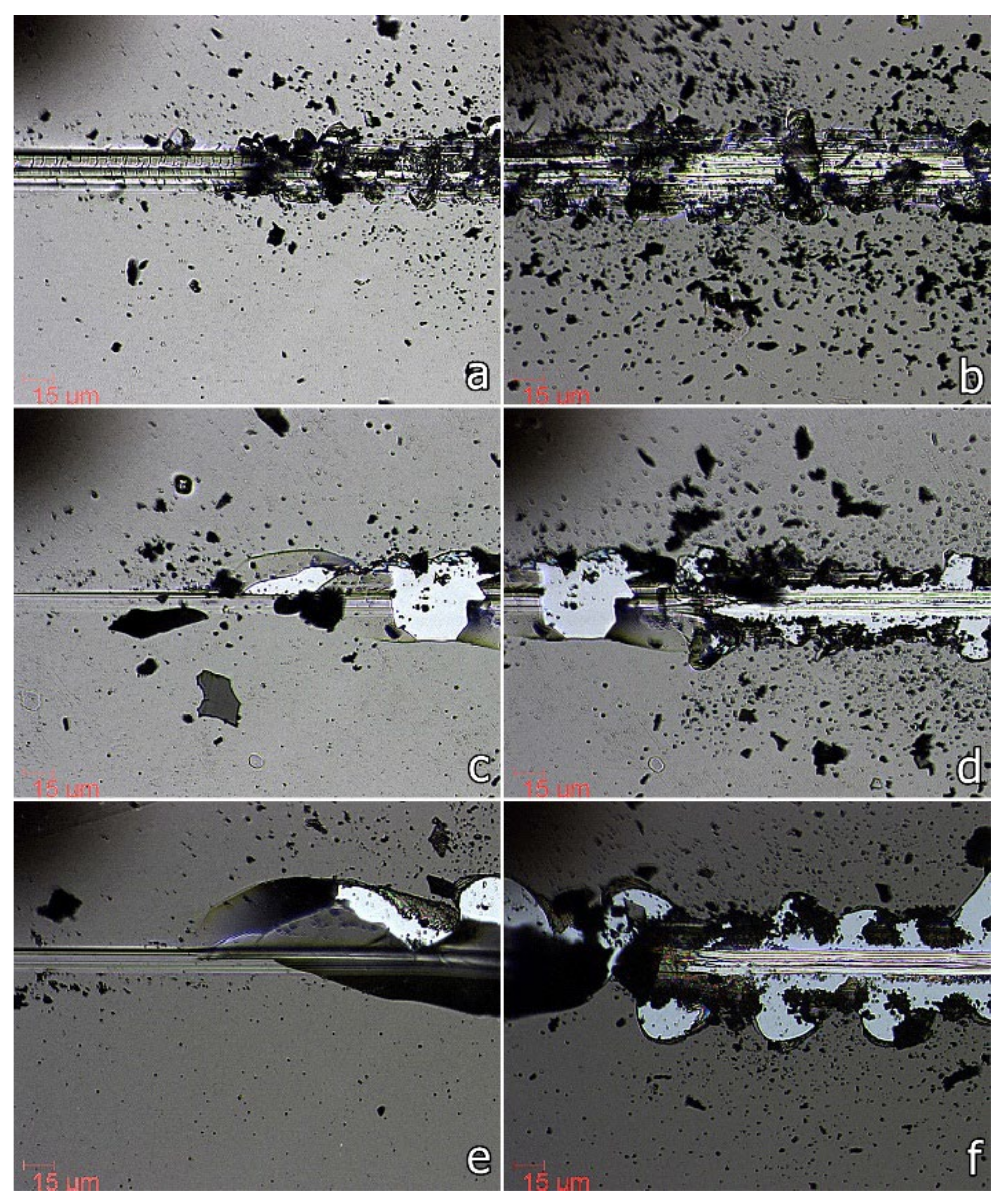 Nanomaterials 12 00512 g006 550