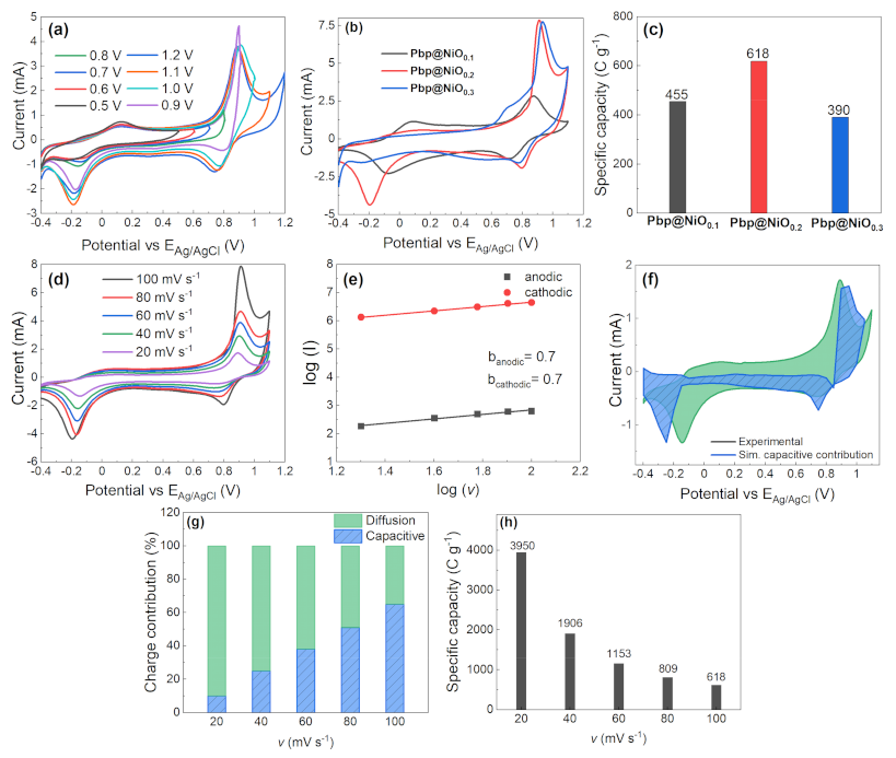 Nanomaterials 12 00513 g004