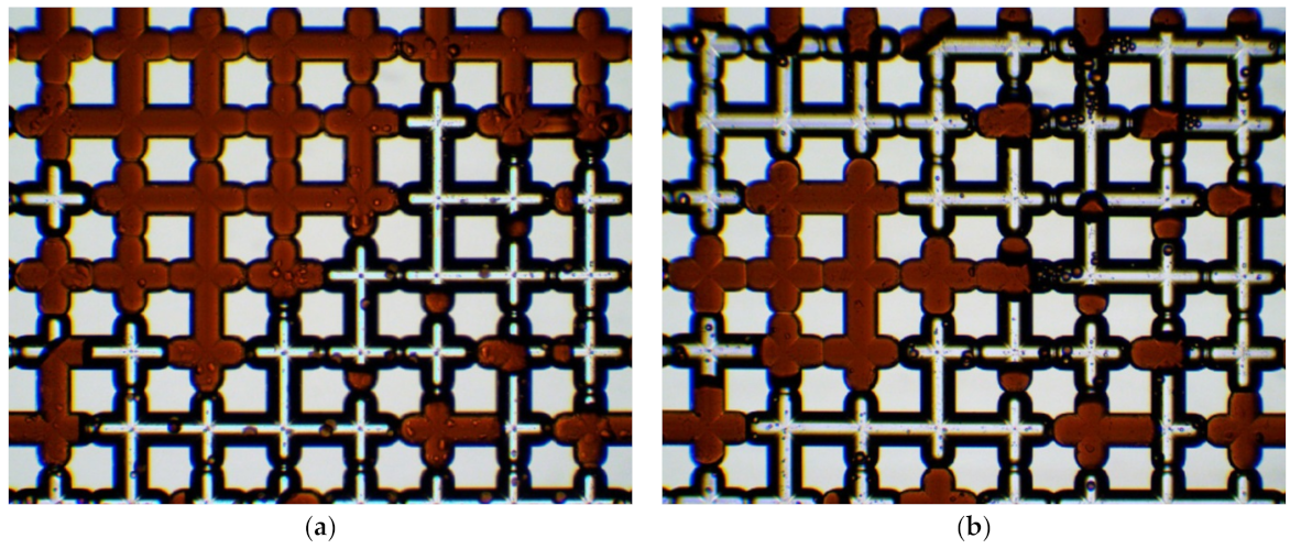 Nanomaterials 12 00520 g011 550