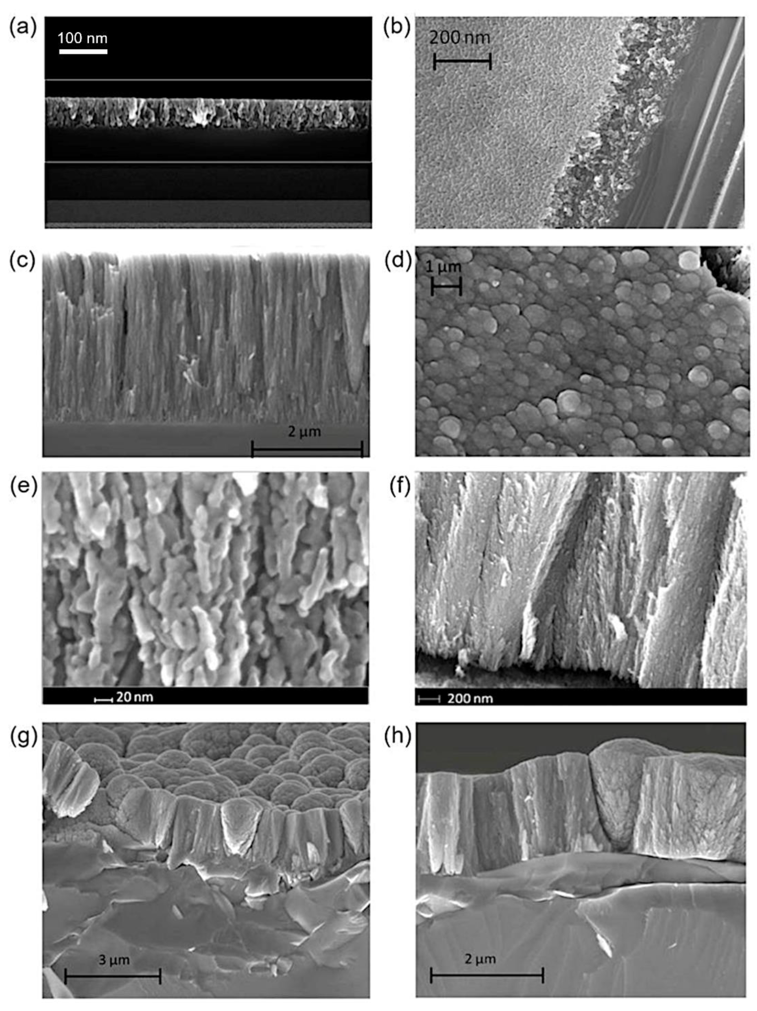 Nanomaterials 12 00533 g006