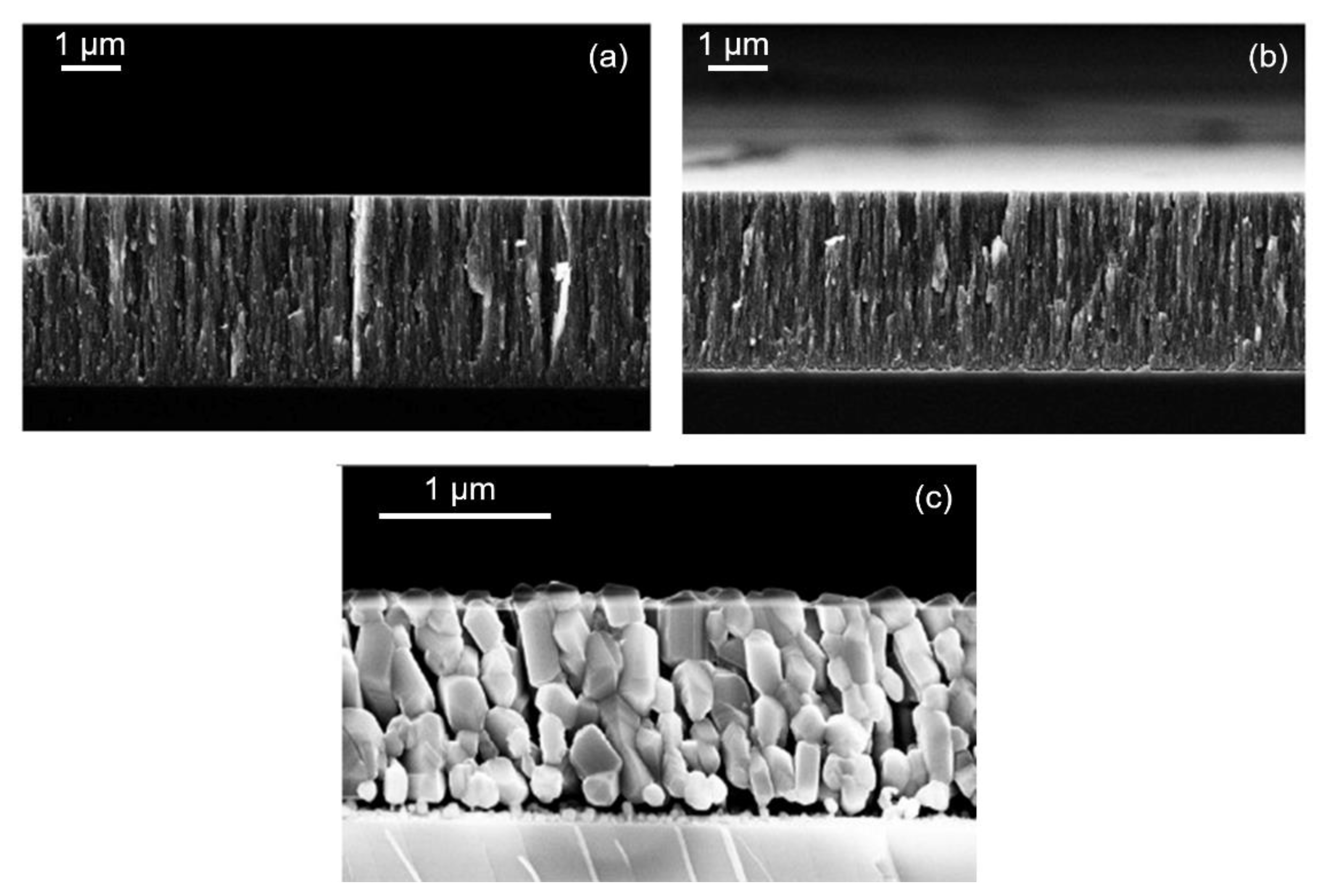 Nanomaterials 12 00533 g007