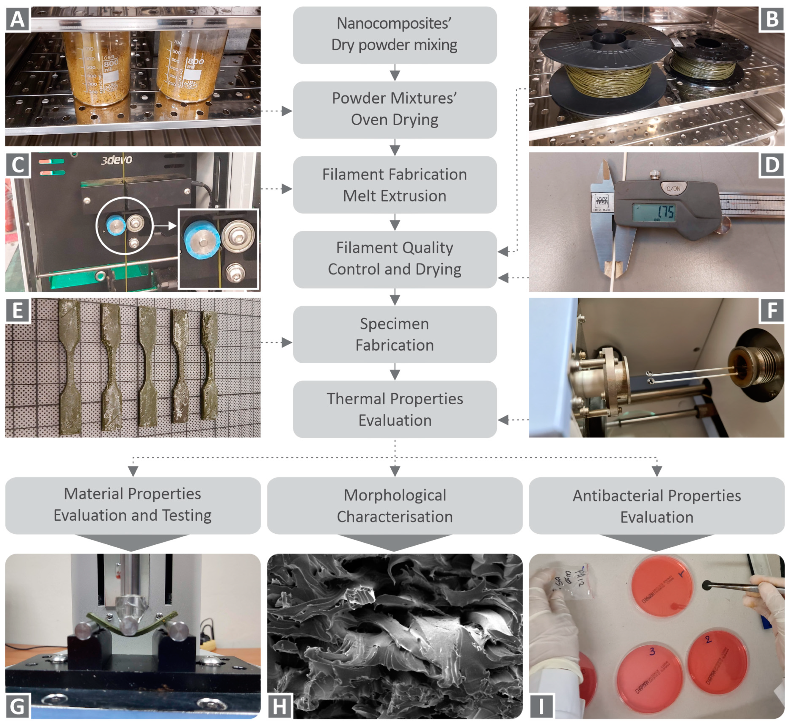 Nanomaterials 12 00534 g001