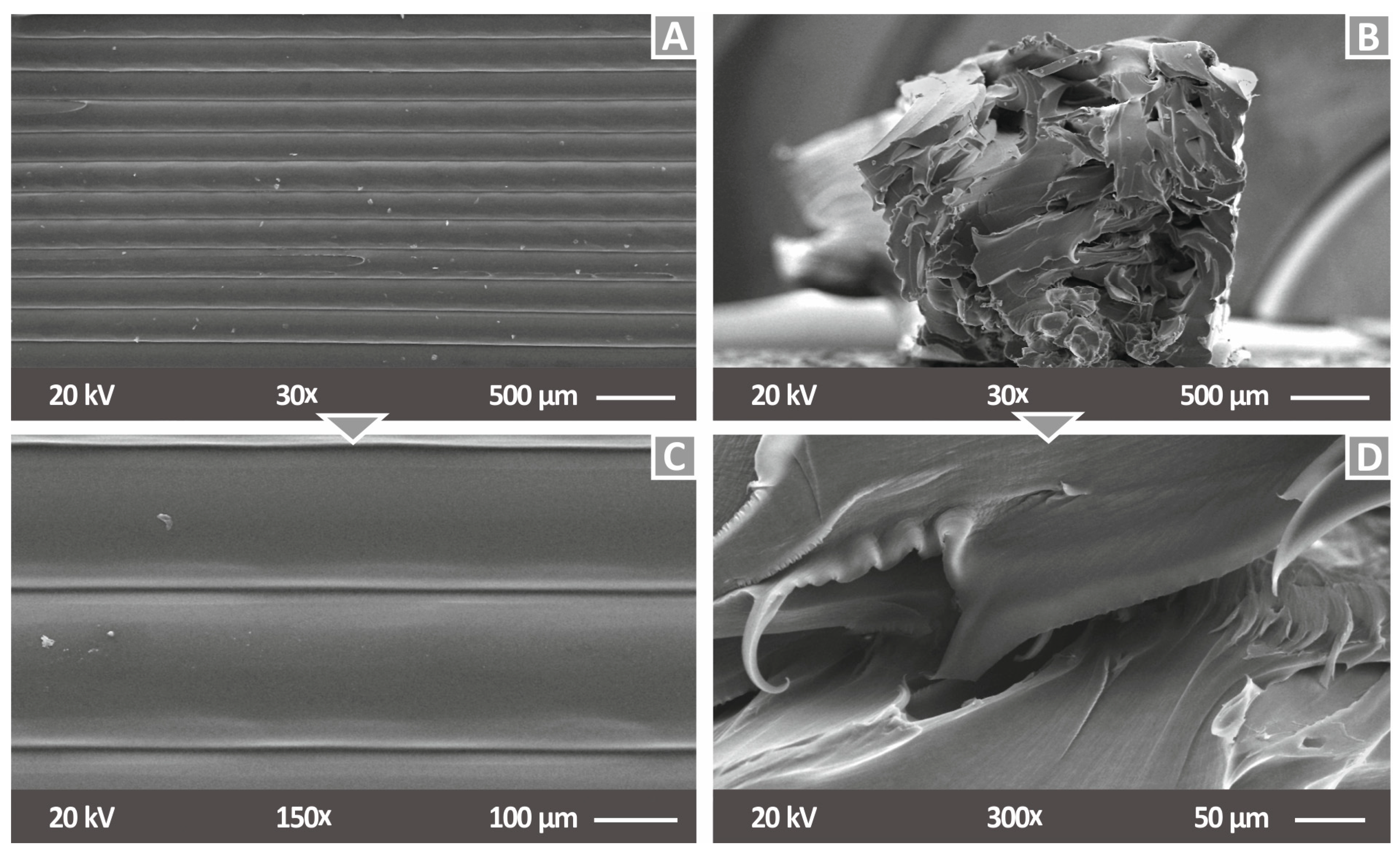 Nanomaterials 12 00534 g006