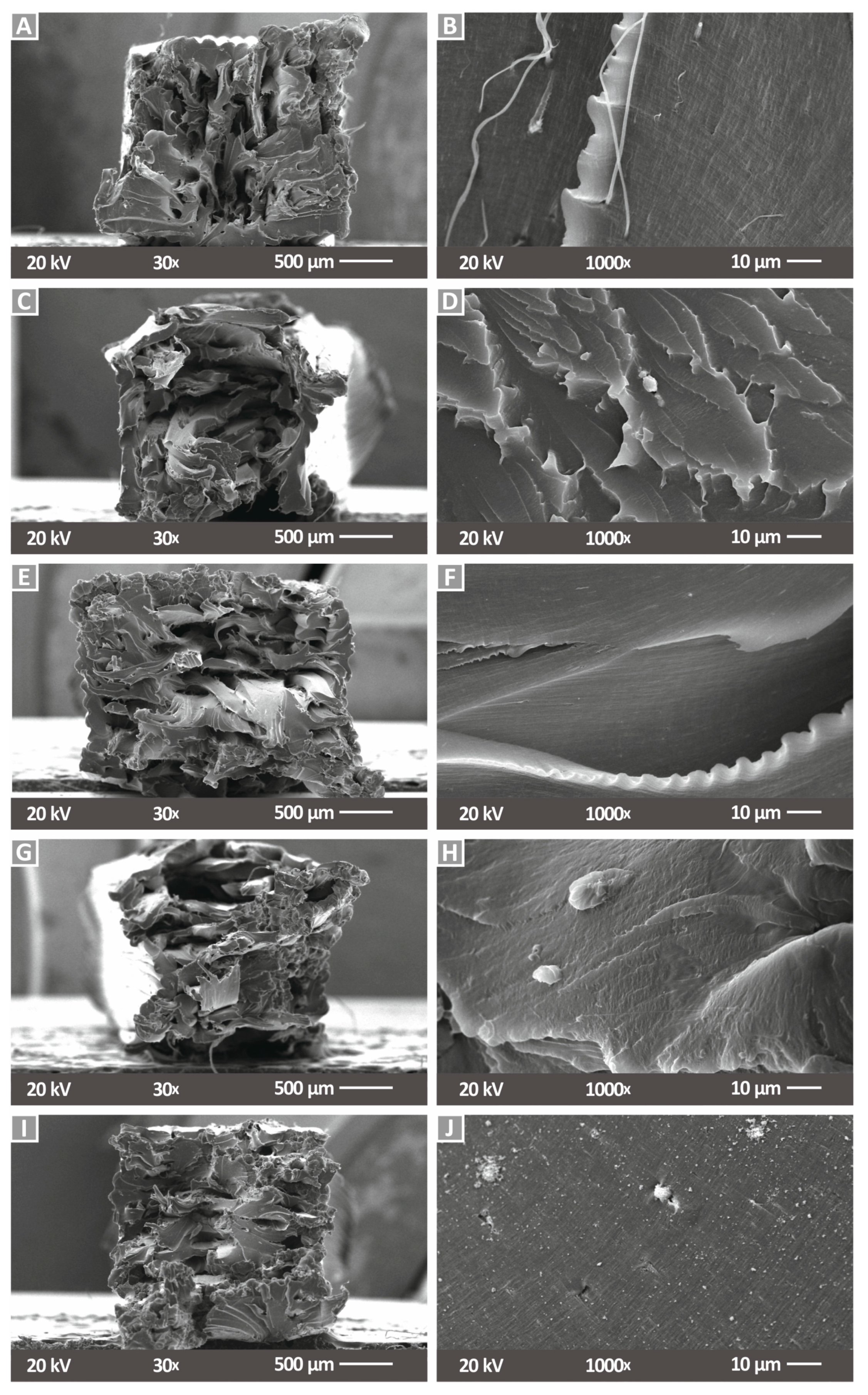 Nanomaterials 12 00534 g008