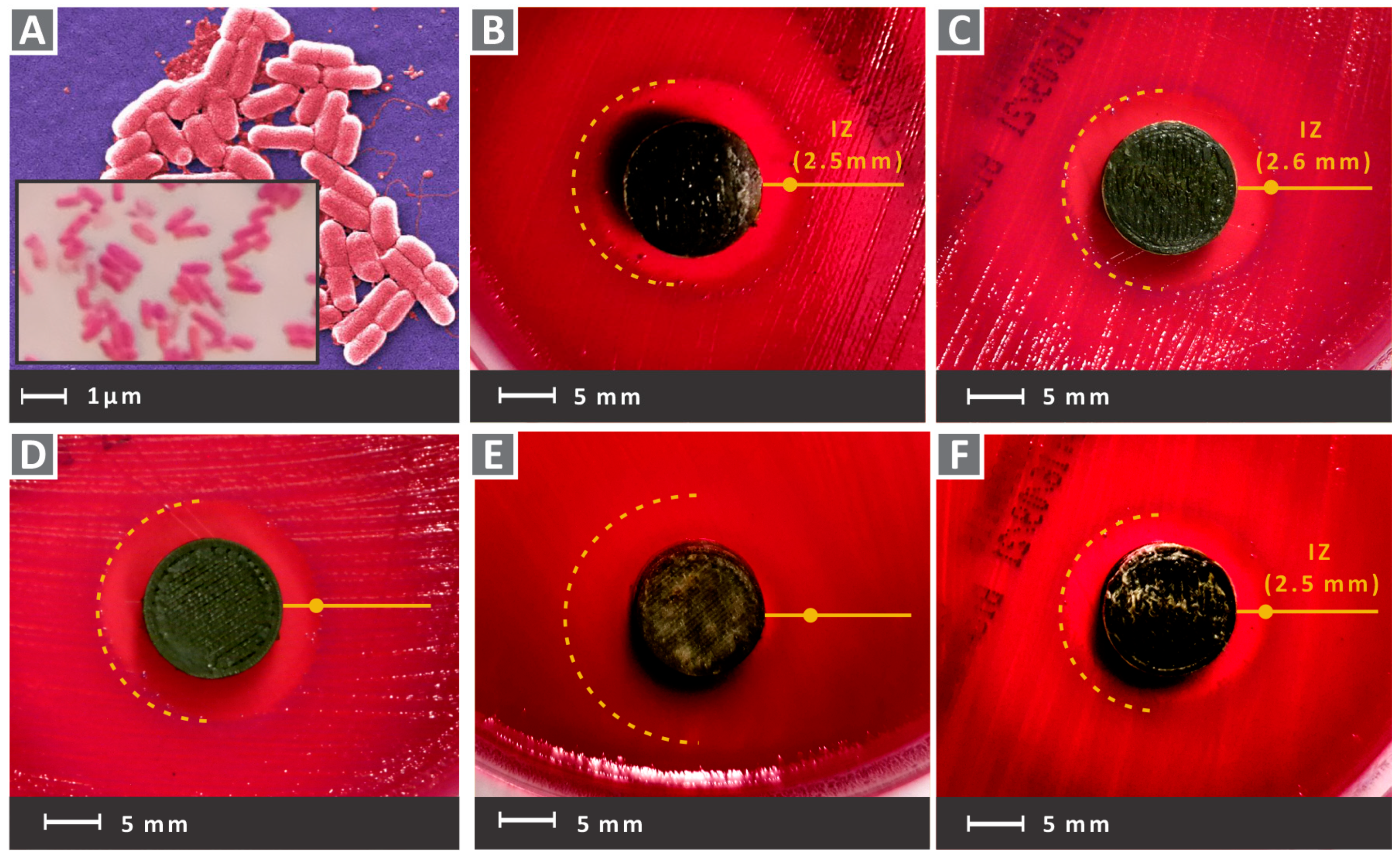 Nanomaterials 12 00534 g012