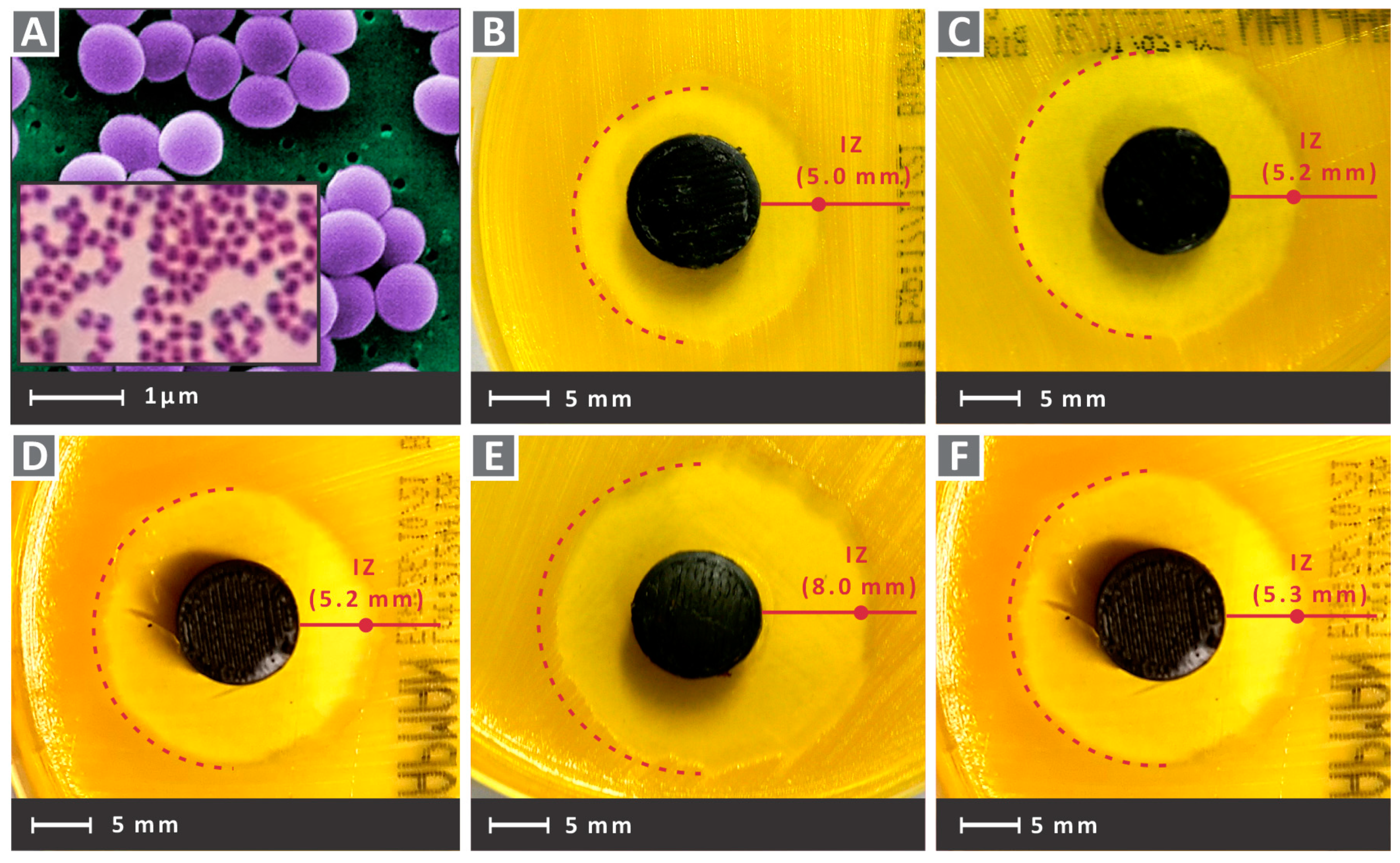 Nanomaterials 12 00534 g013