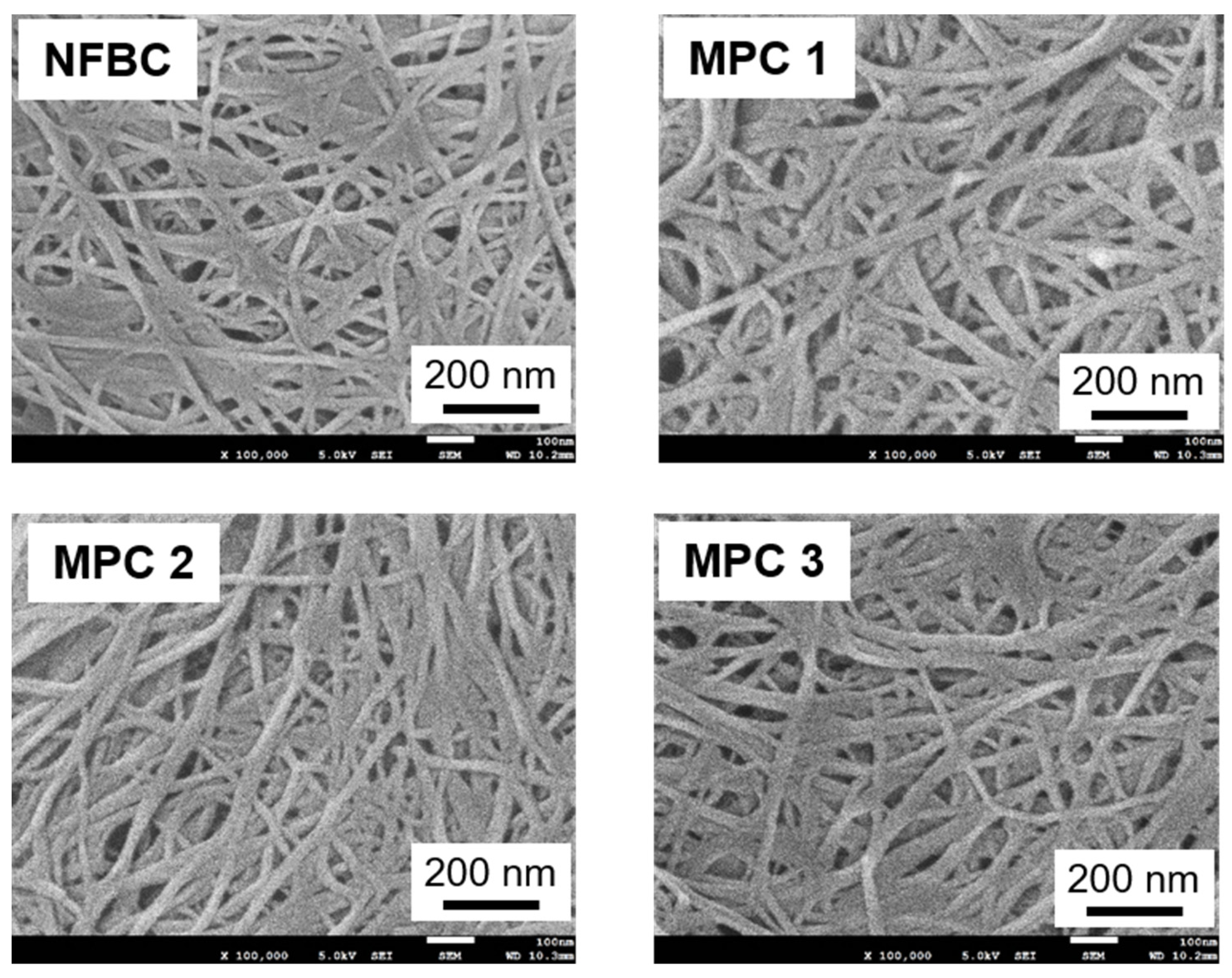 Nanomaterials 12 00537 g005