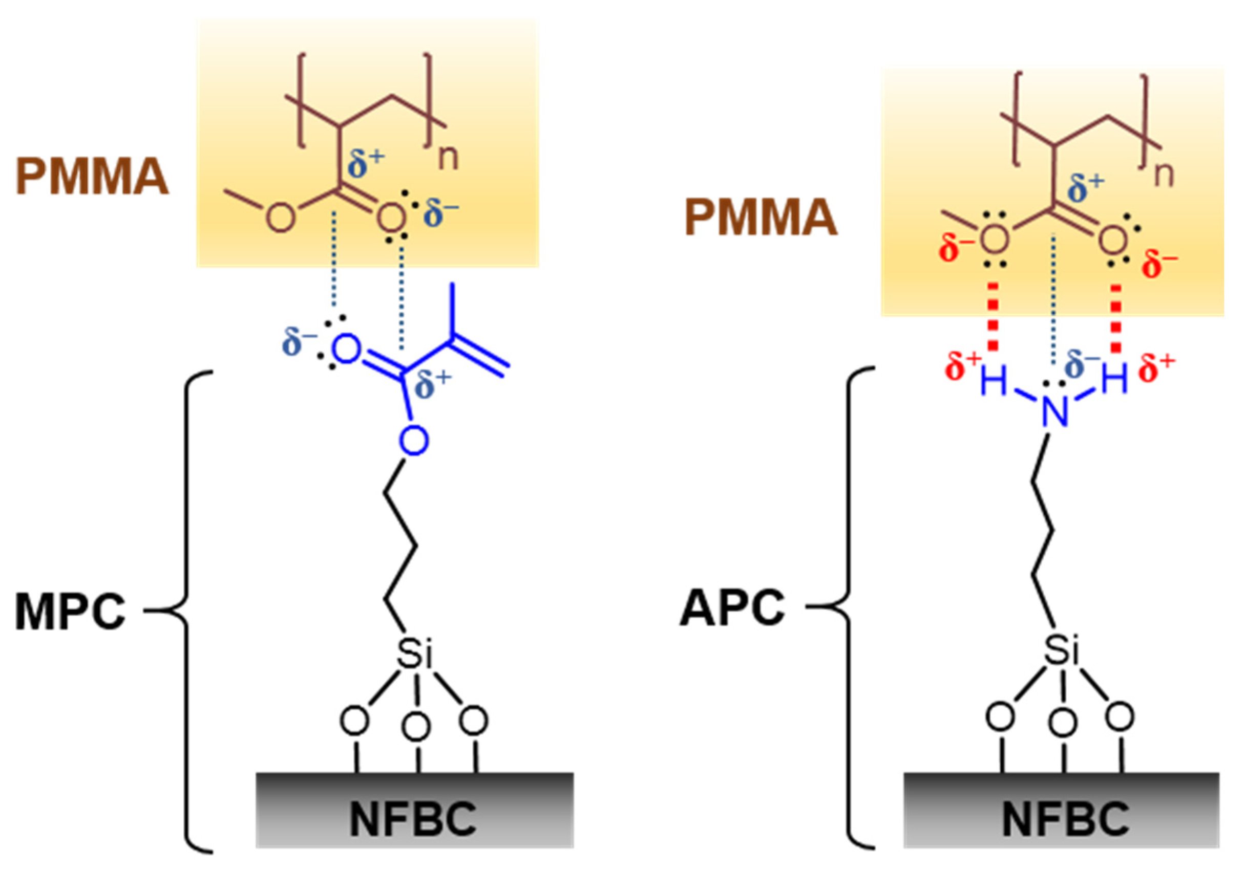 Nanomaterials 12 00537 g012