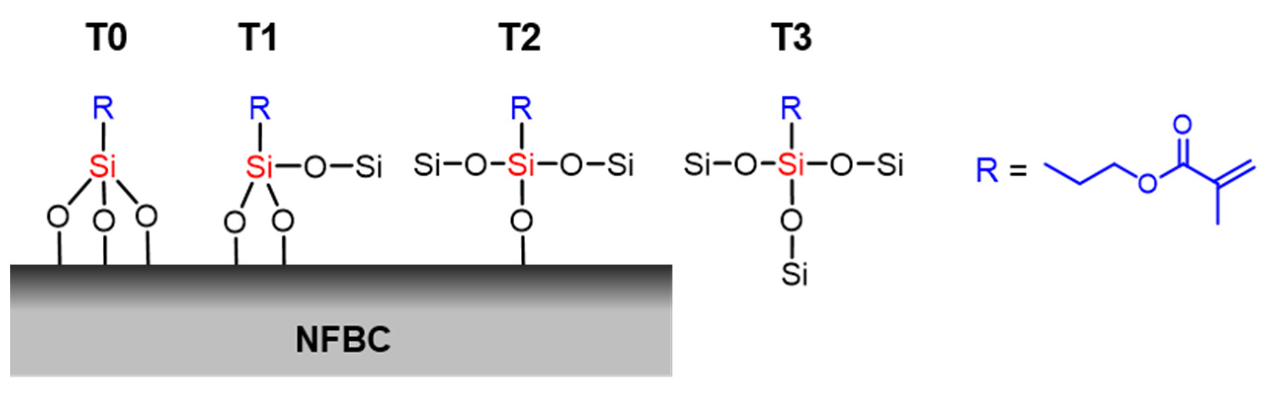 Nanomaterials 12 00537 g013