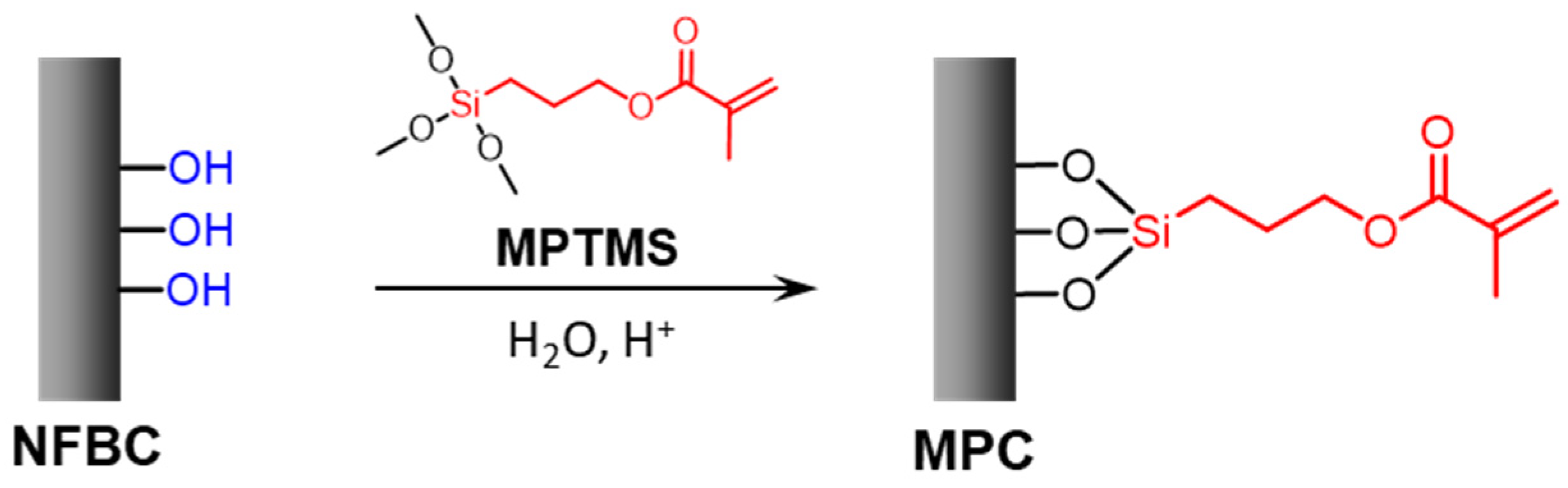 Nanomaterials 12 00537 sch001