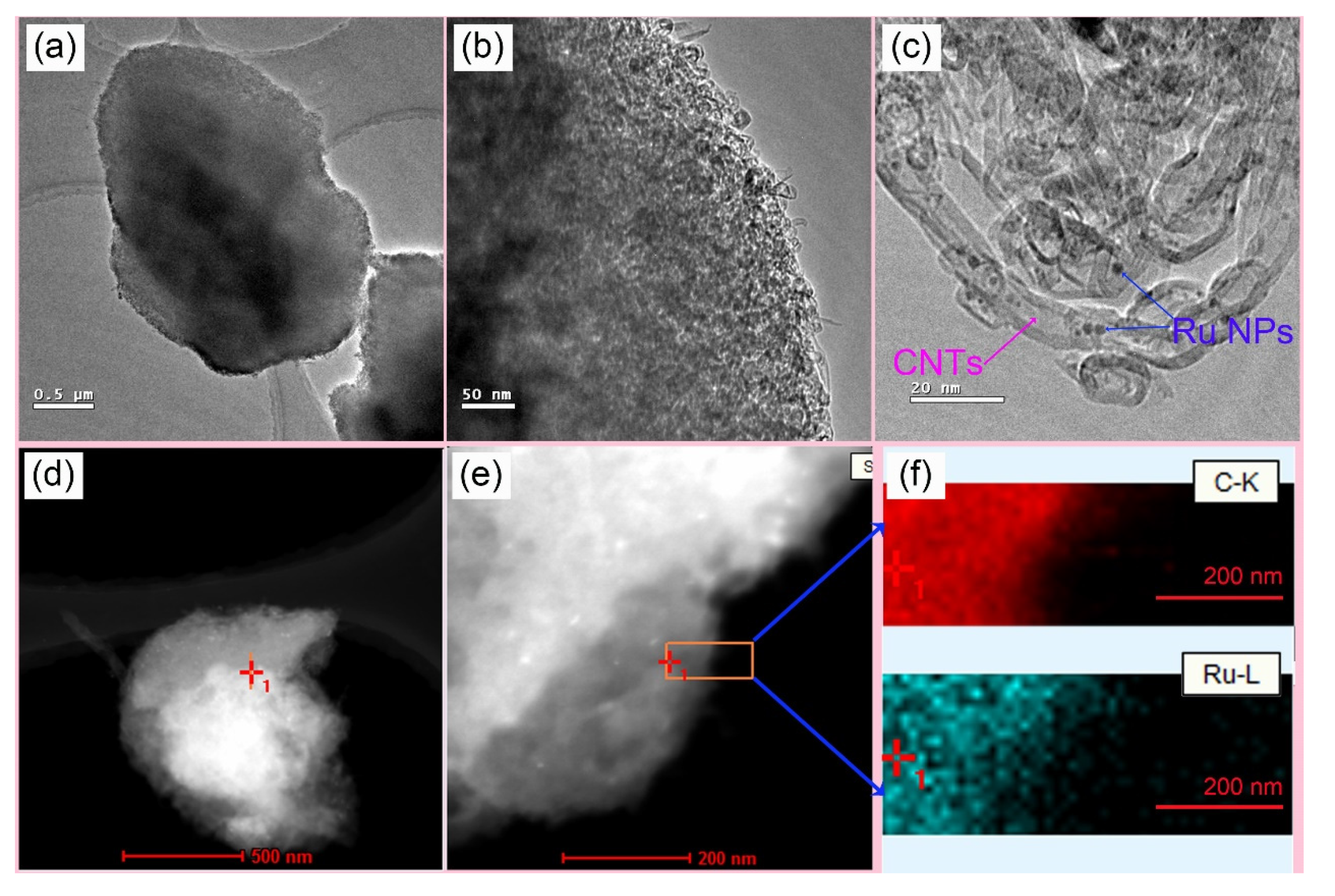 Nanomaterials 12 00539 g001