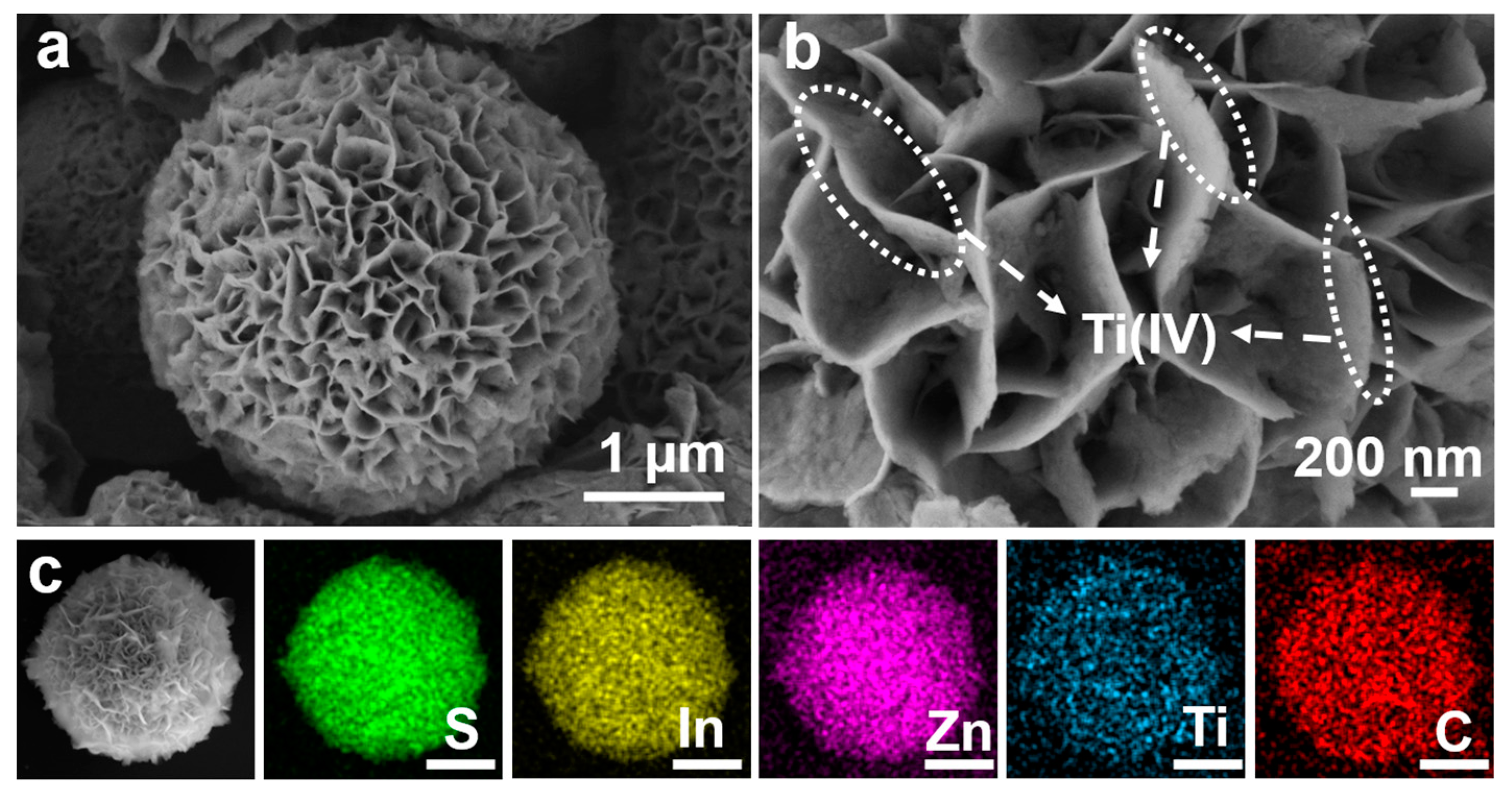 Nanomaterials 12 00542 g002 550