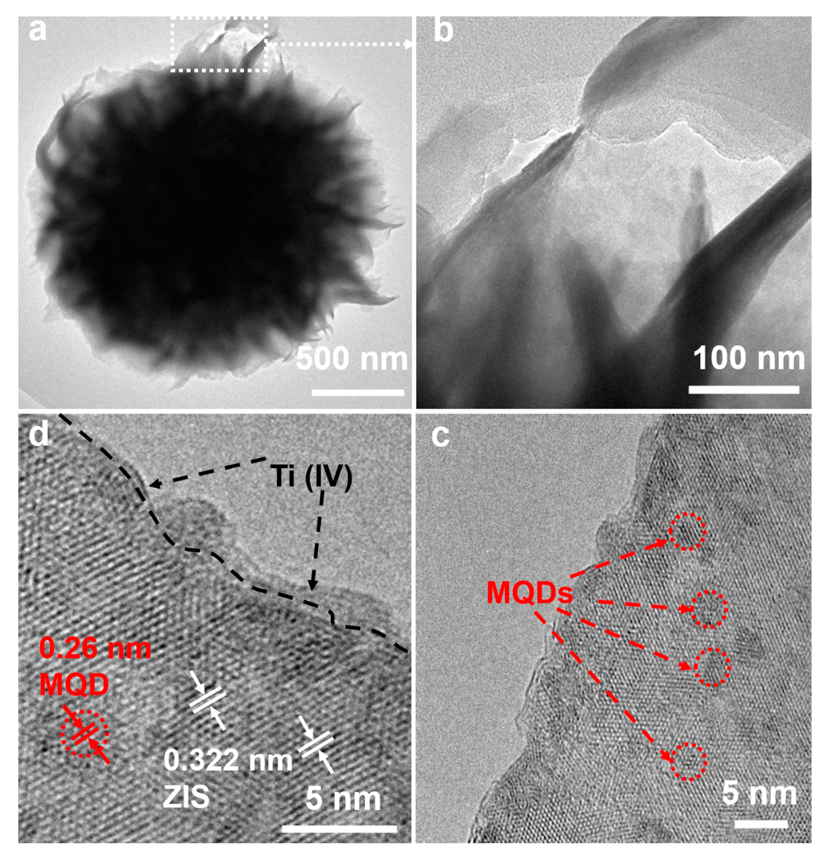 Nanomaterials 12 00542 g003 550