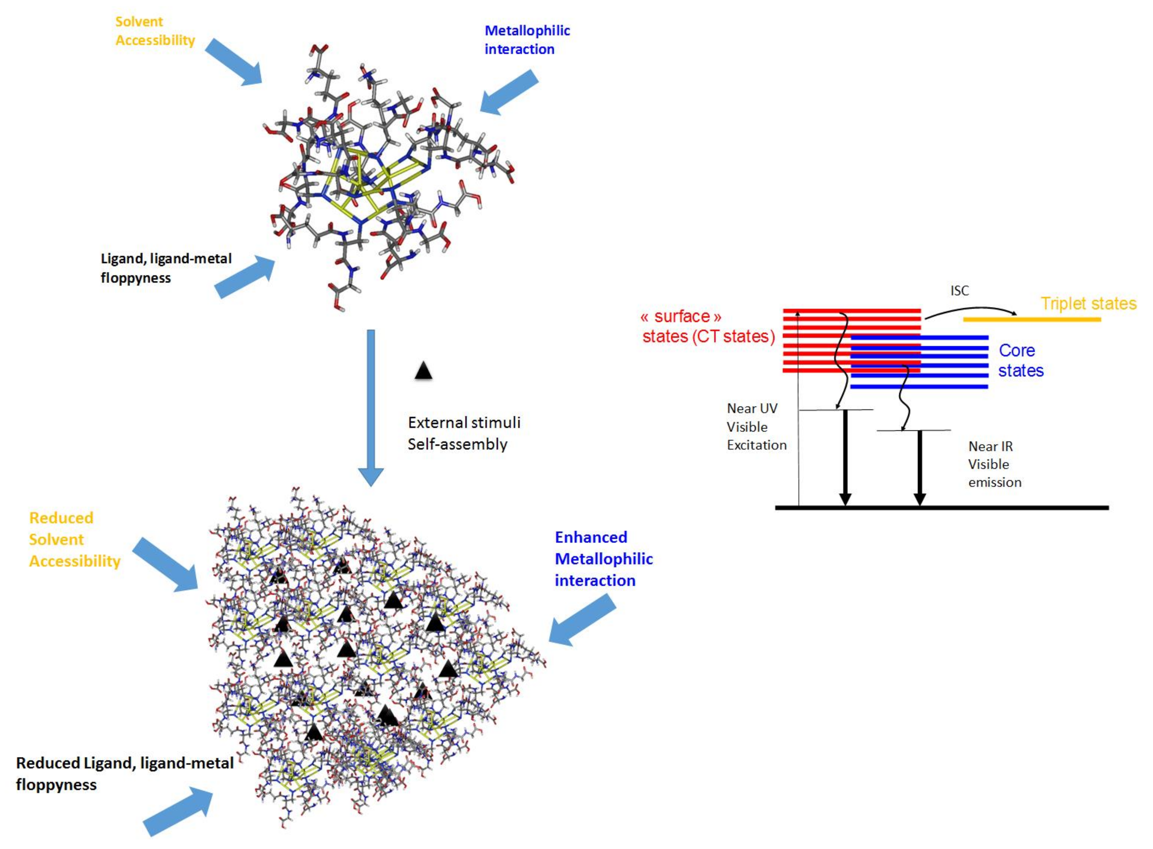 Nanomaterials | Free Full-Text | Self-Assembled Metal Nanoclusters ...
