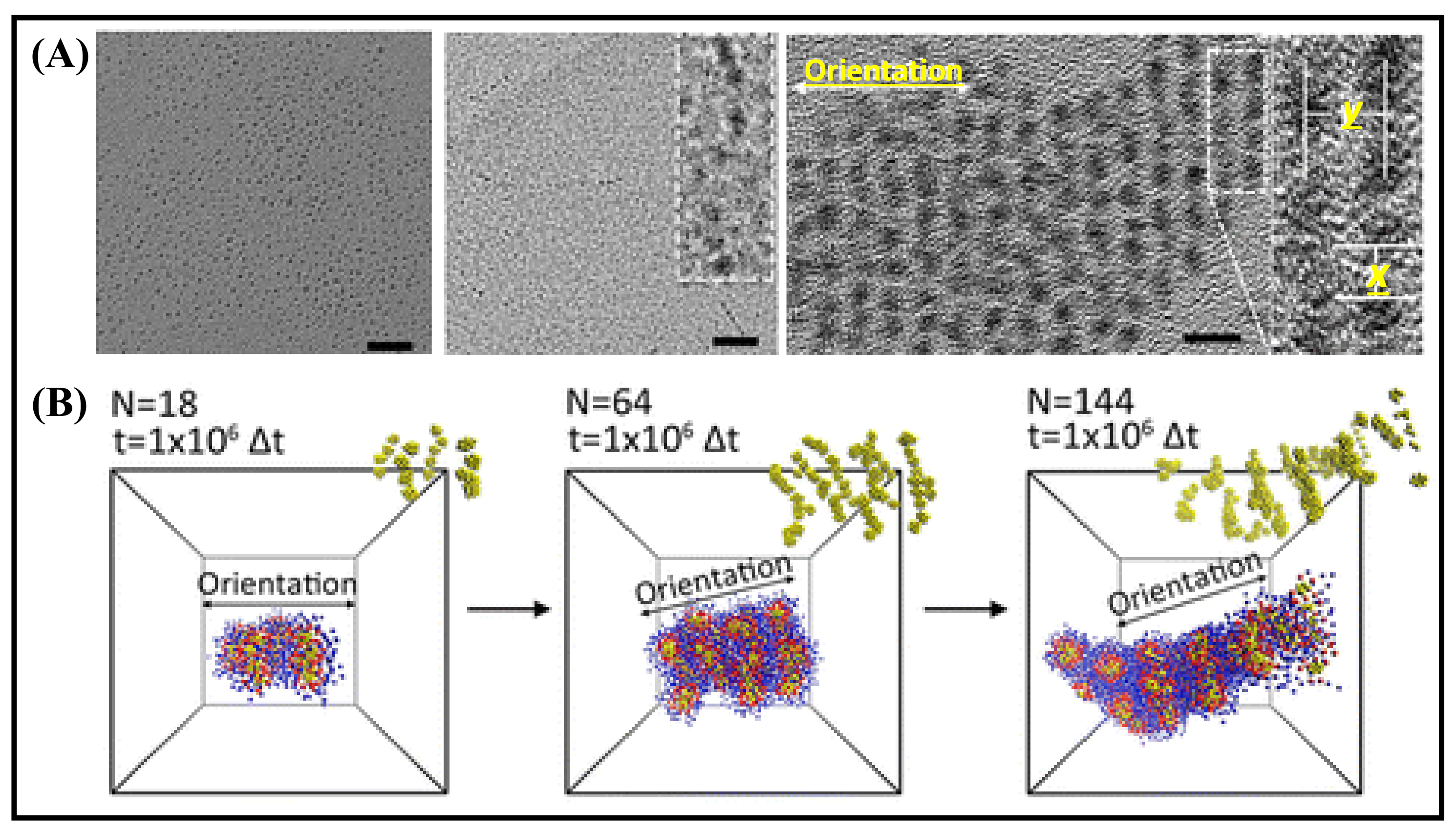 Nanomaterials 12 00544 g002