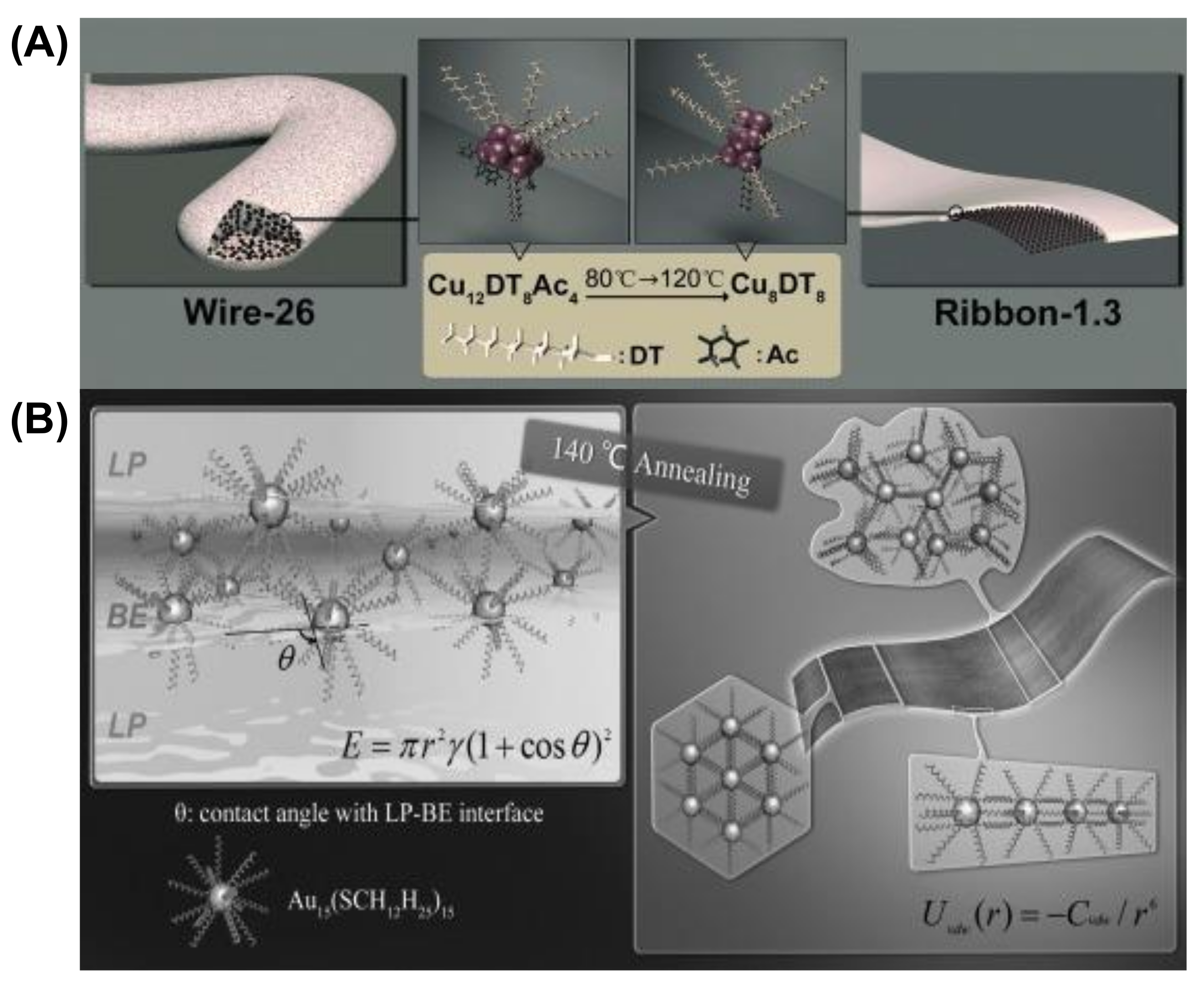 Nanomaterials 12 00544 g003