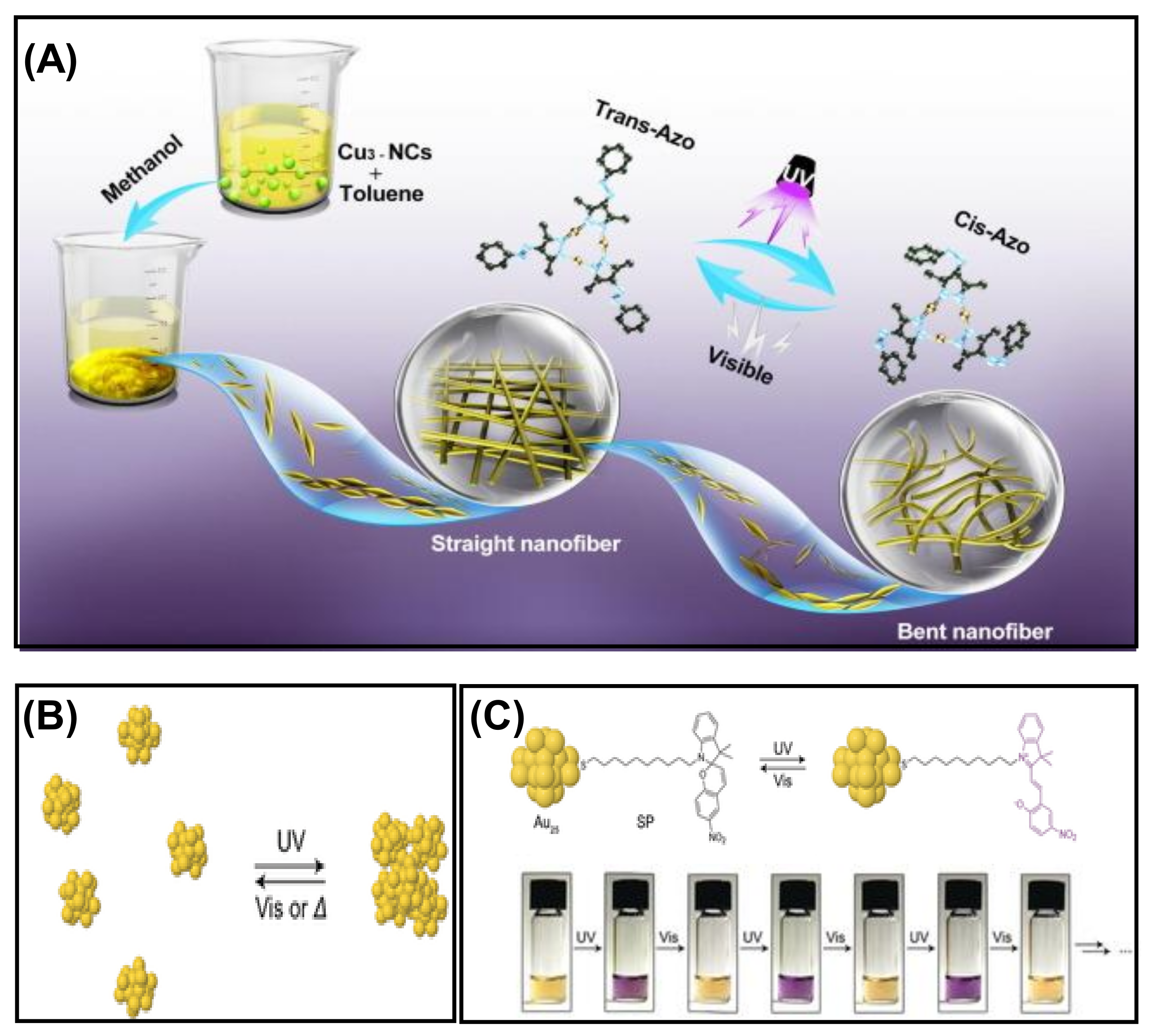 Nanomaterials 12 00544 g011
