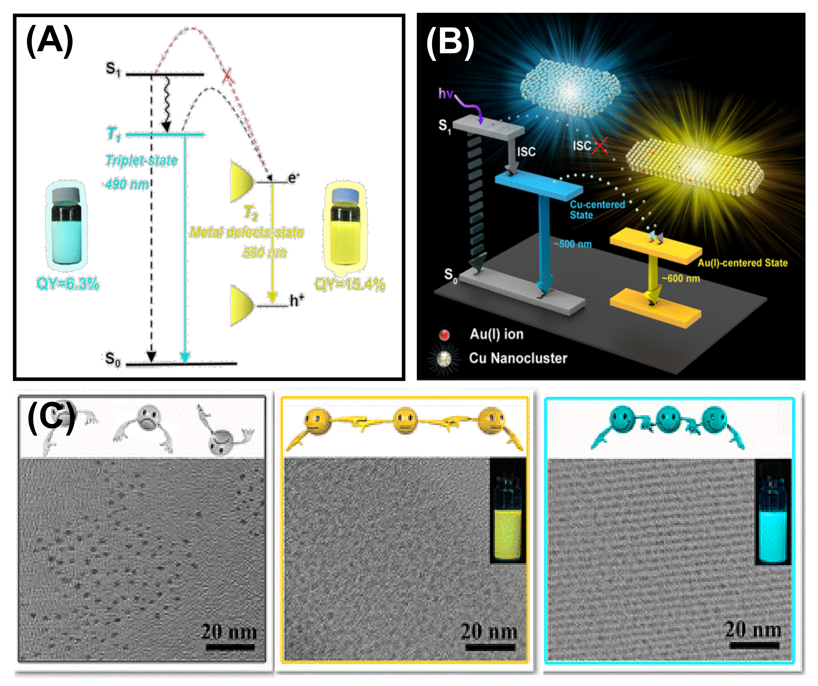 Nanomaterials 12 00544 g012