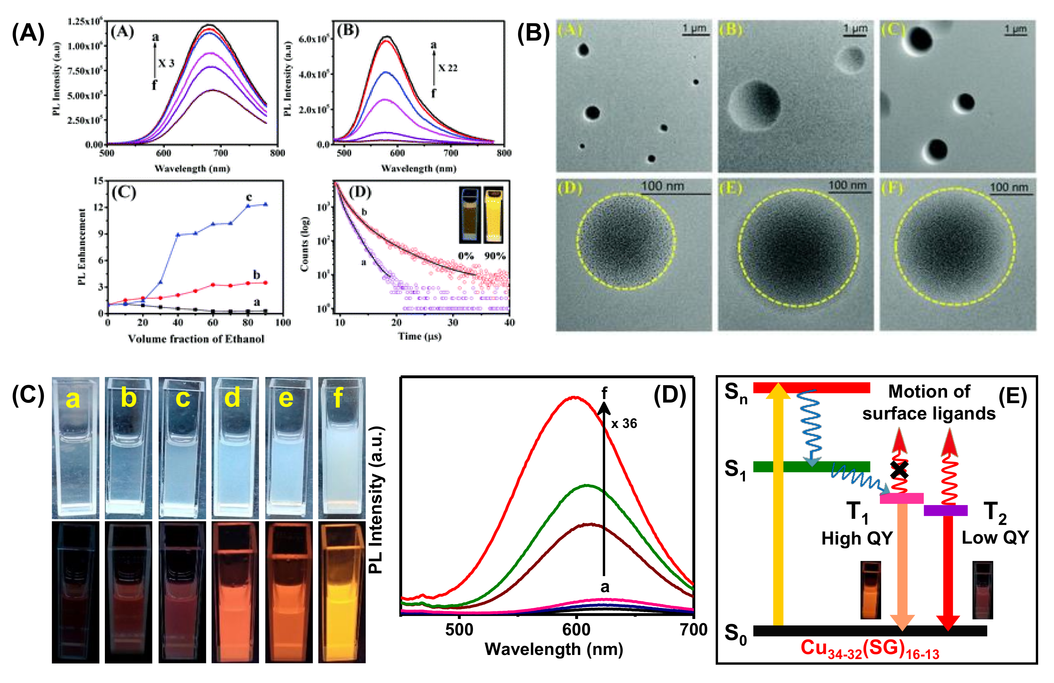 Nanomaterials 12 00544 g013