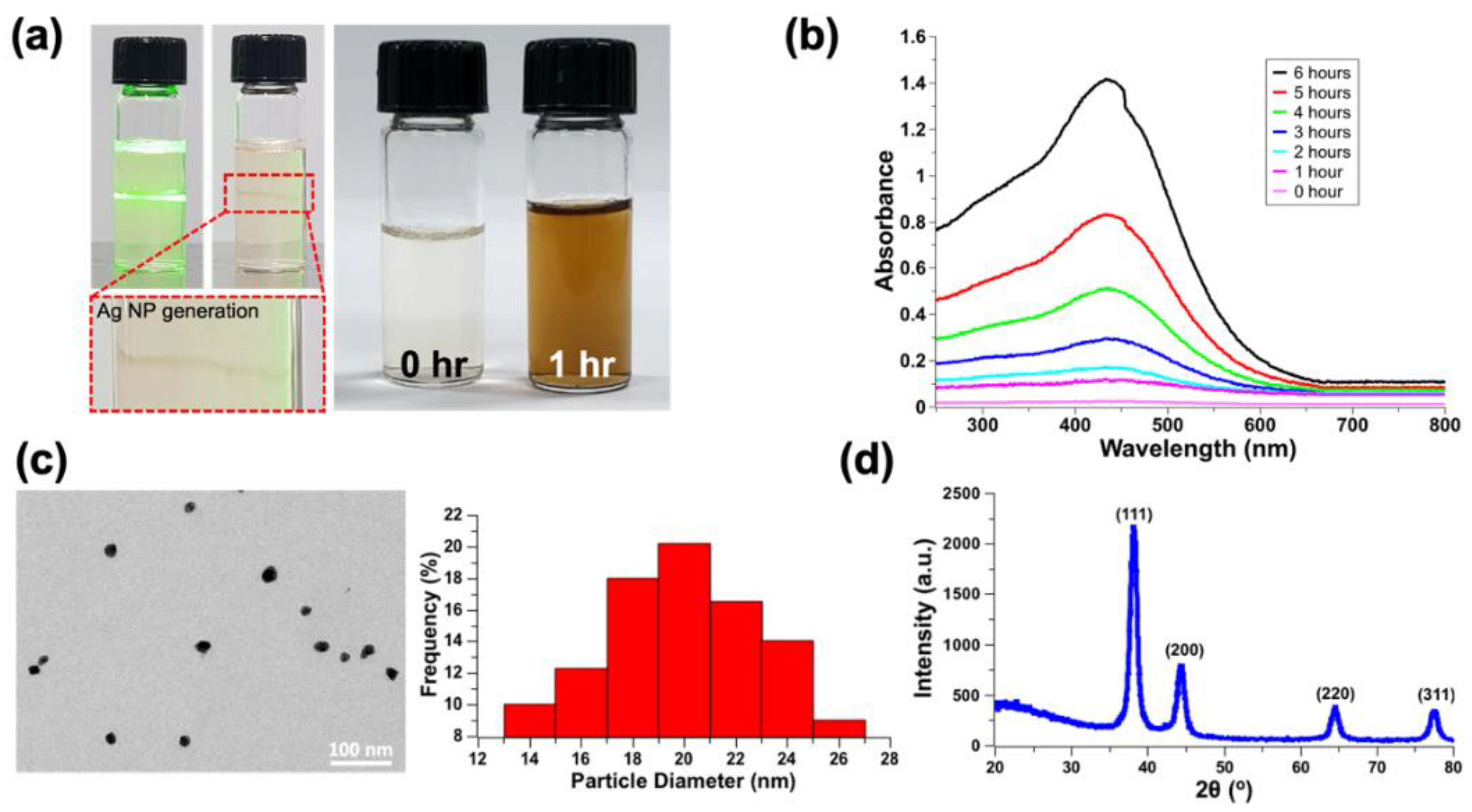 Nanomaterials 12 00545 g003 550