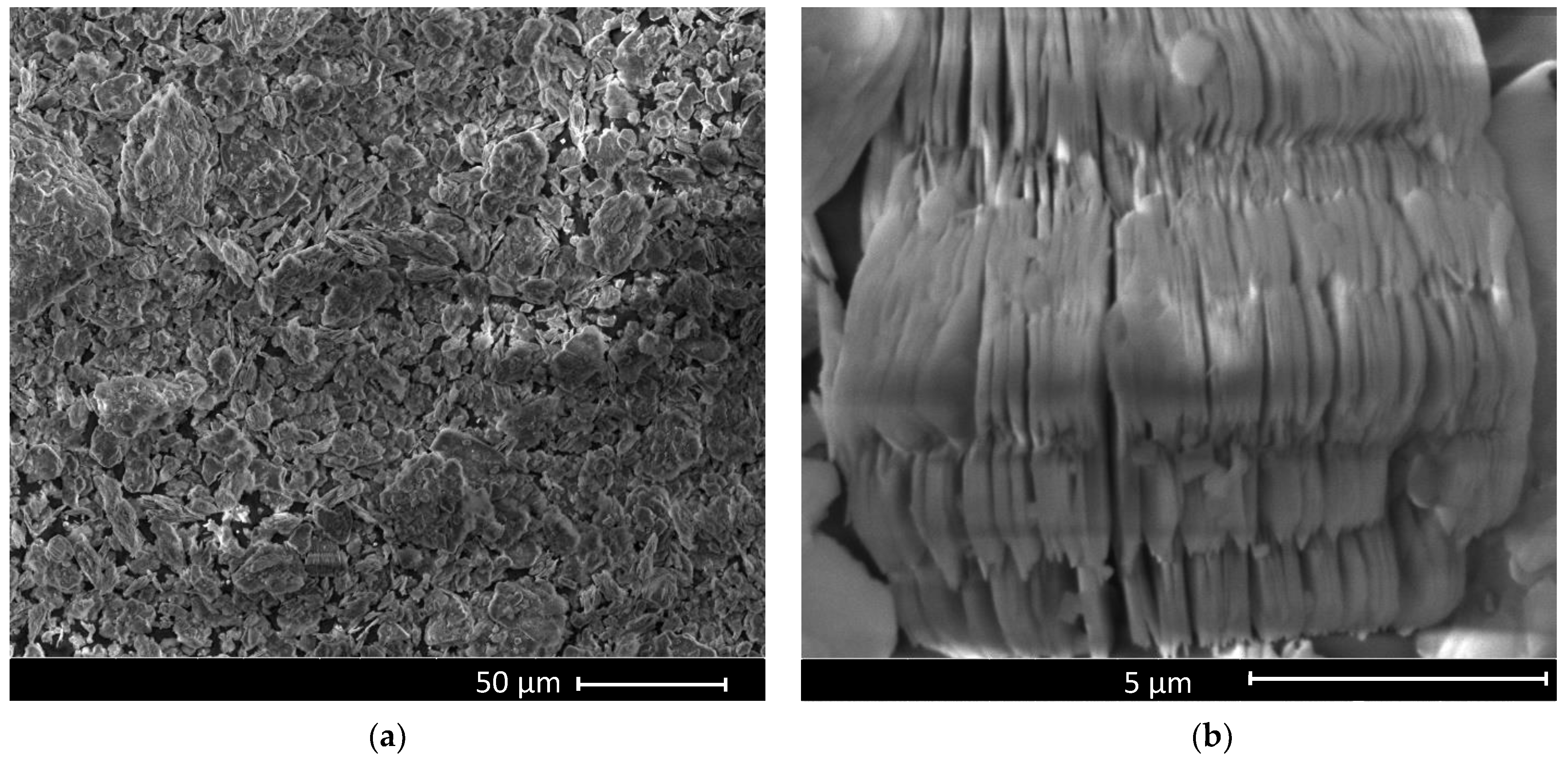 Nanomaterials 12 00546 g001 550