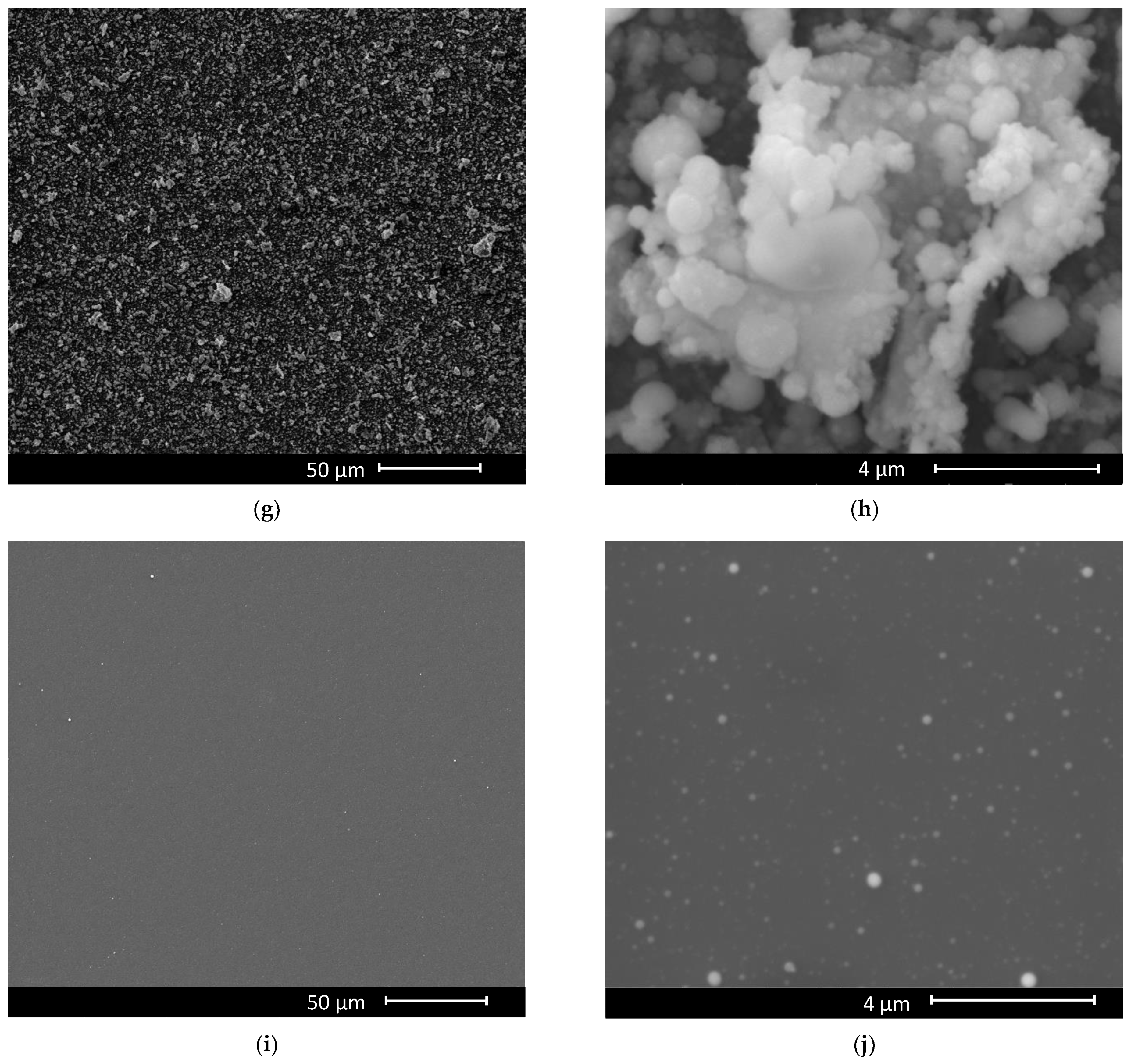 Nanomaterials 12 00546 g005b 550