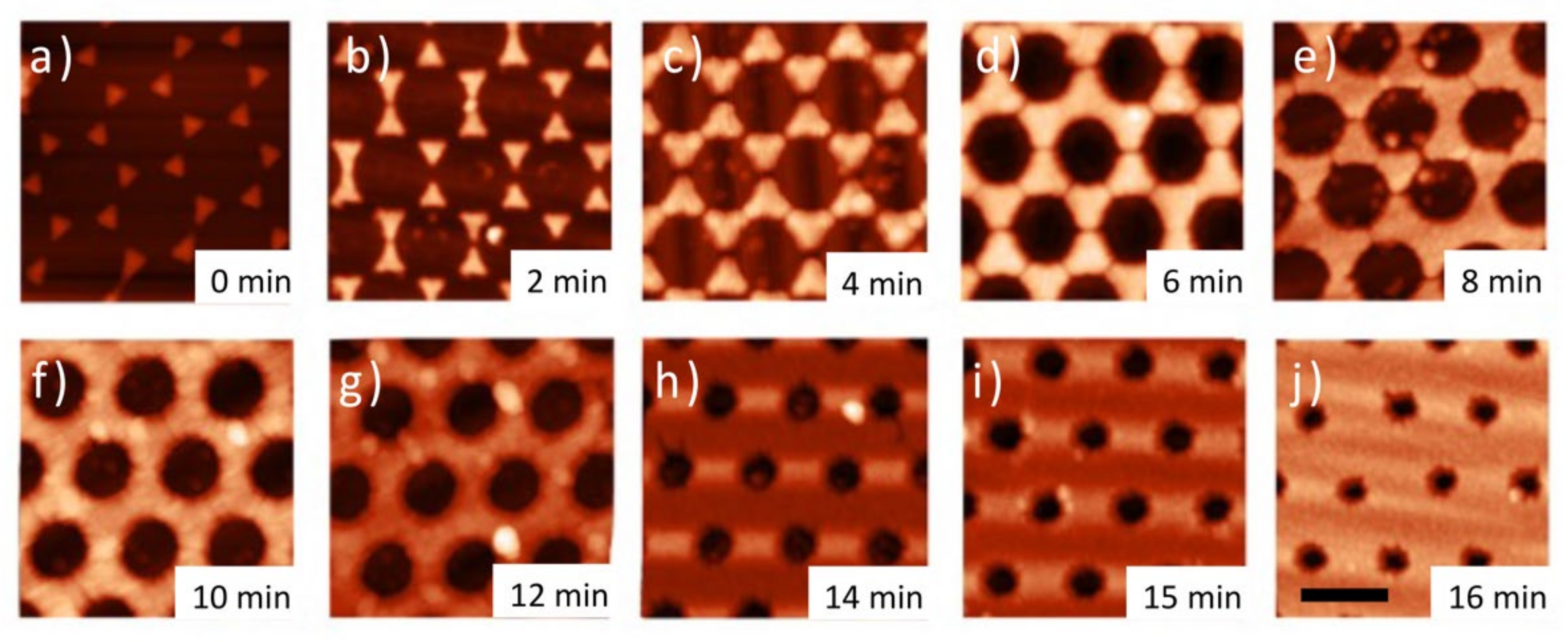 Nanomaterials 12 00547 g004 550