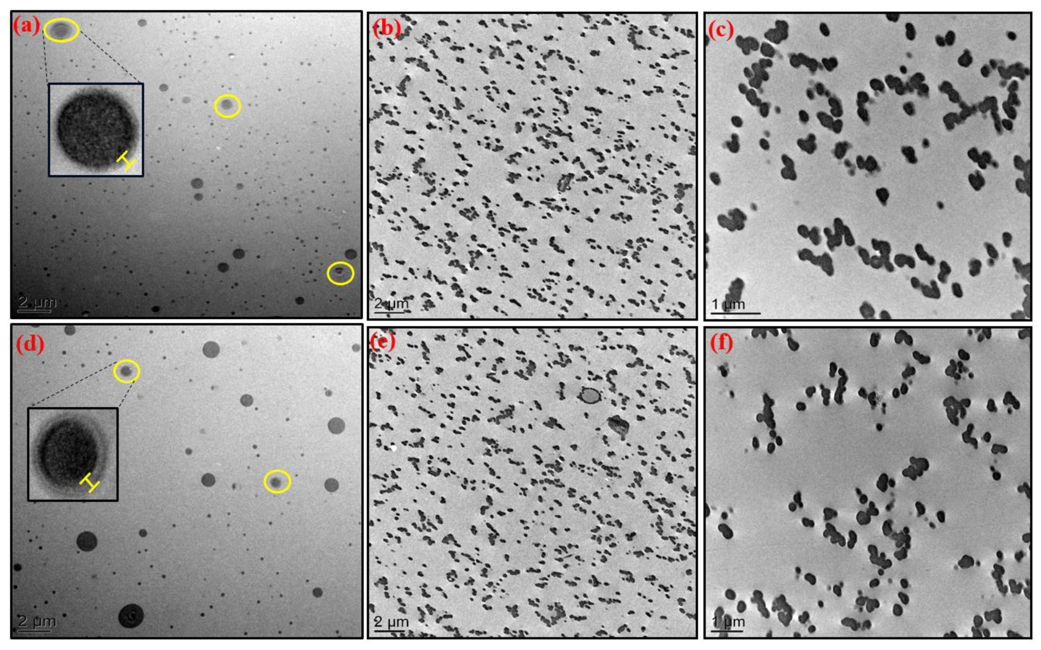Nanomaterials 12 00550 g001