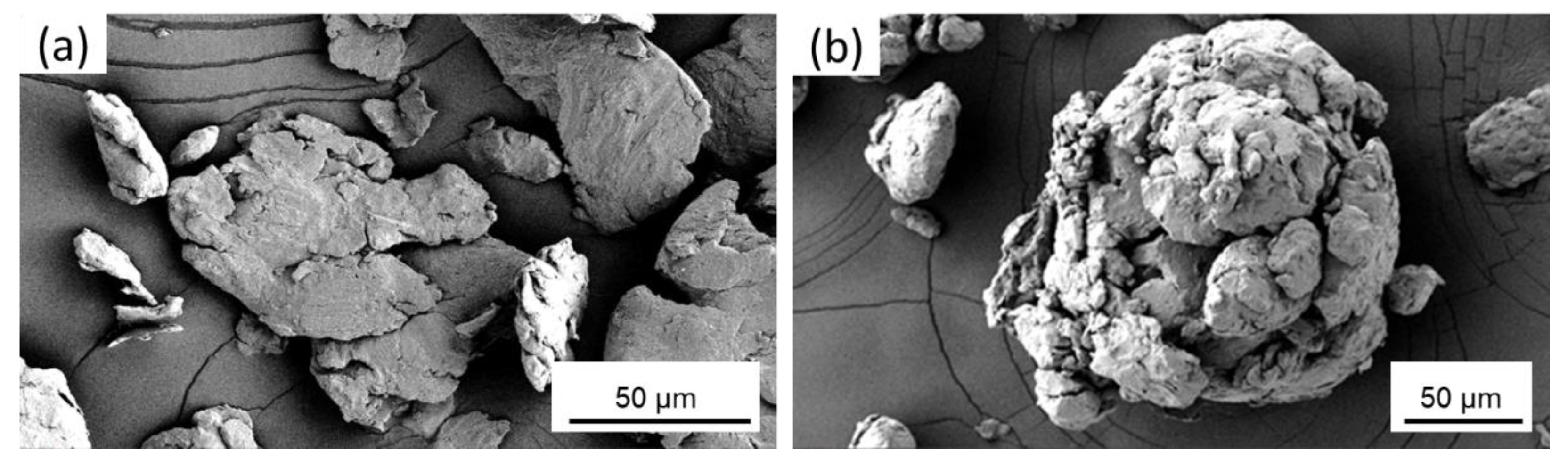 Nanomaterials 12 00551 g005