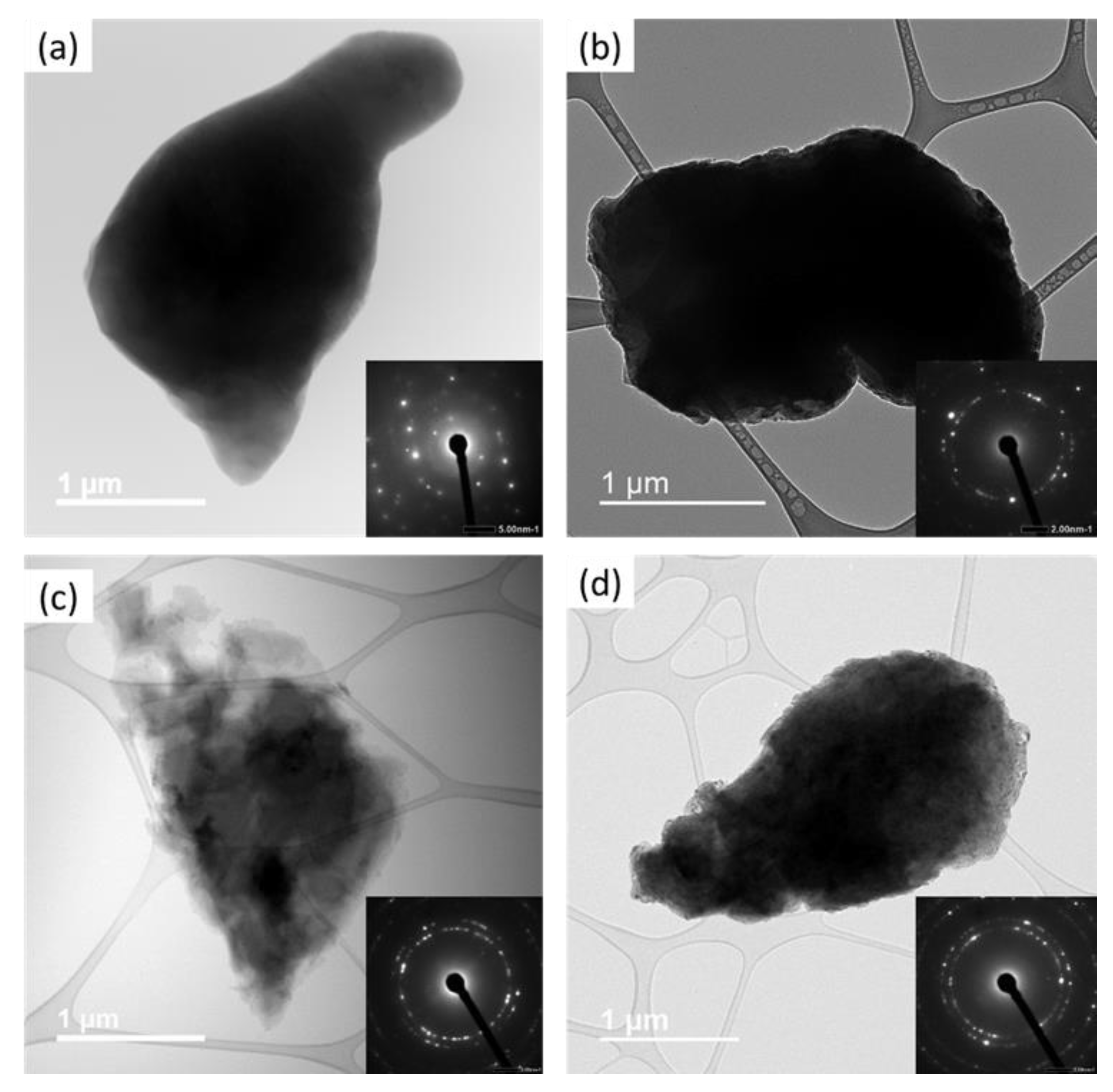 Nanomaterials 12 00551 g010