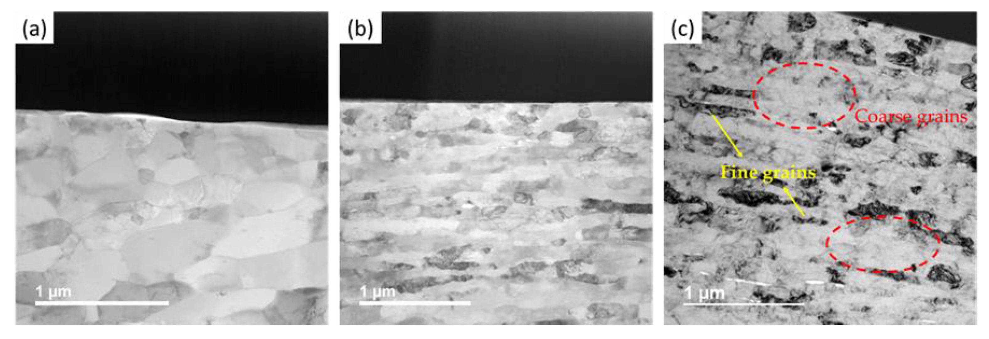 Nanomaterials 12 00551 g014